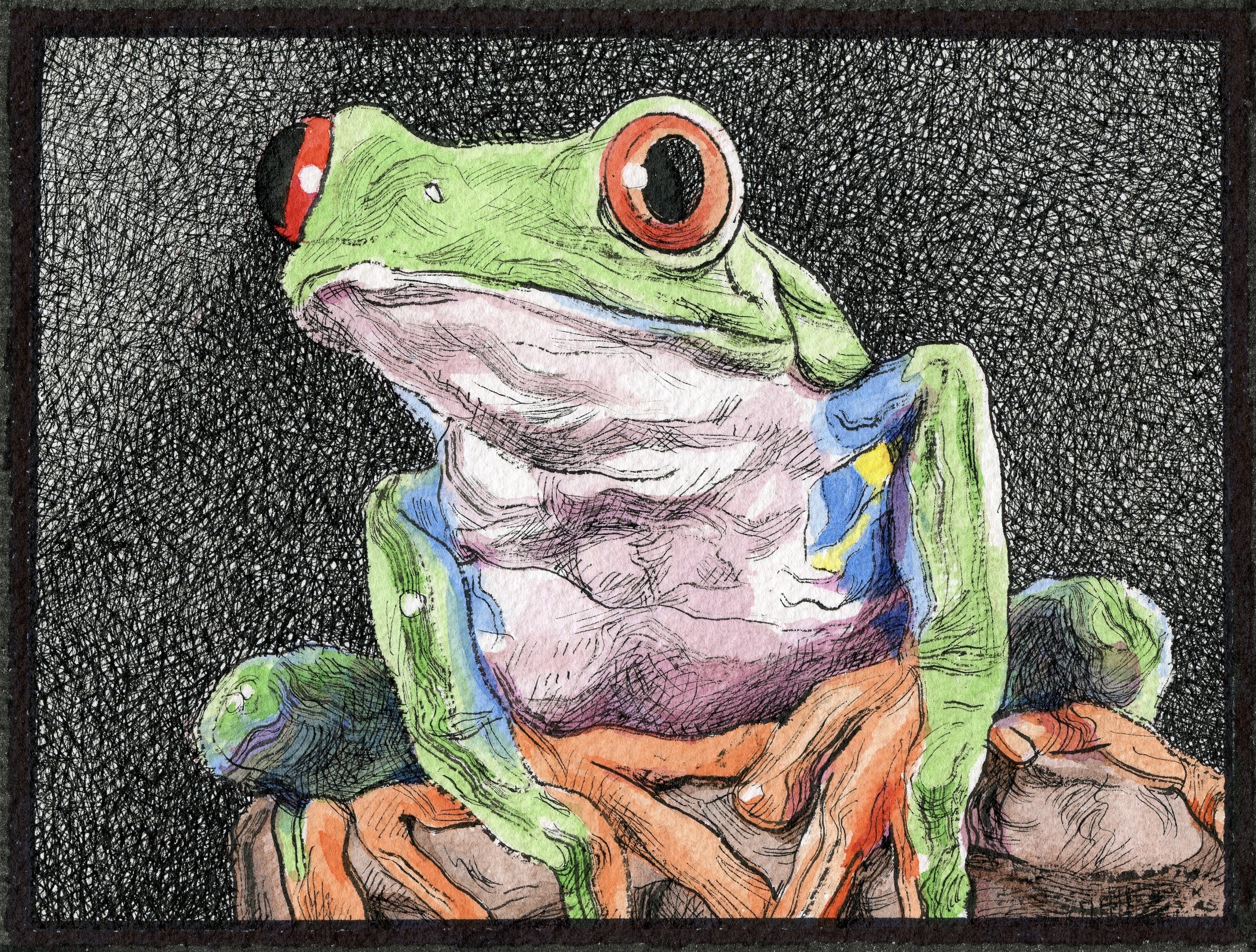Colorful drawing of a frog sitting on rocks, with a black background.