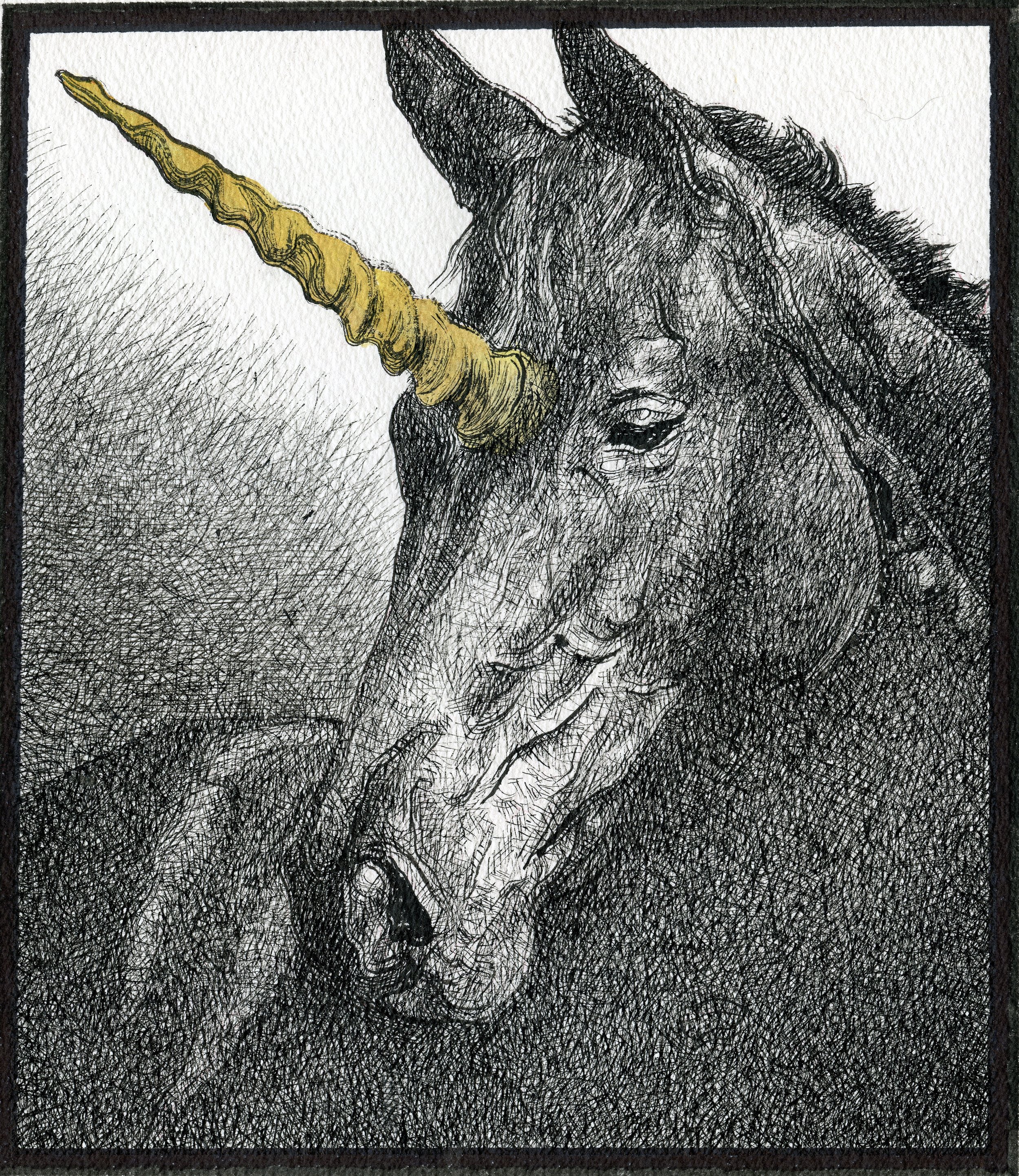A detailed drawing of a unicorn with a yellowish horn on its forehead.