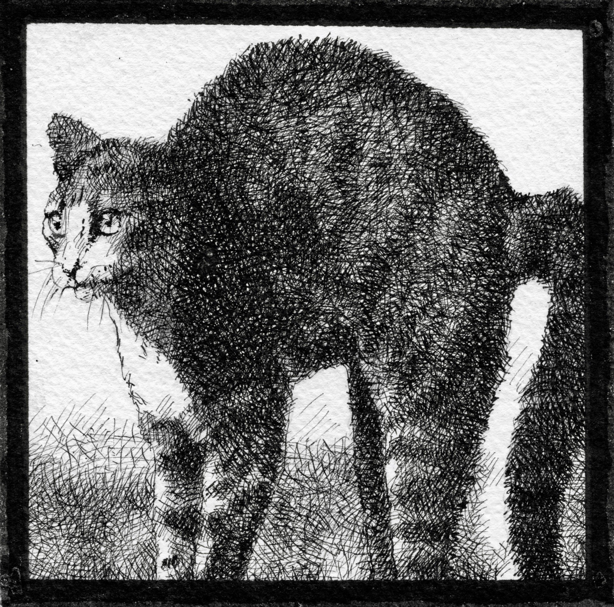 A black and white artistic sketch cat, created with cross-hatching techniques.