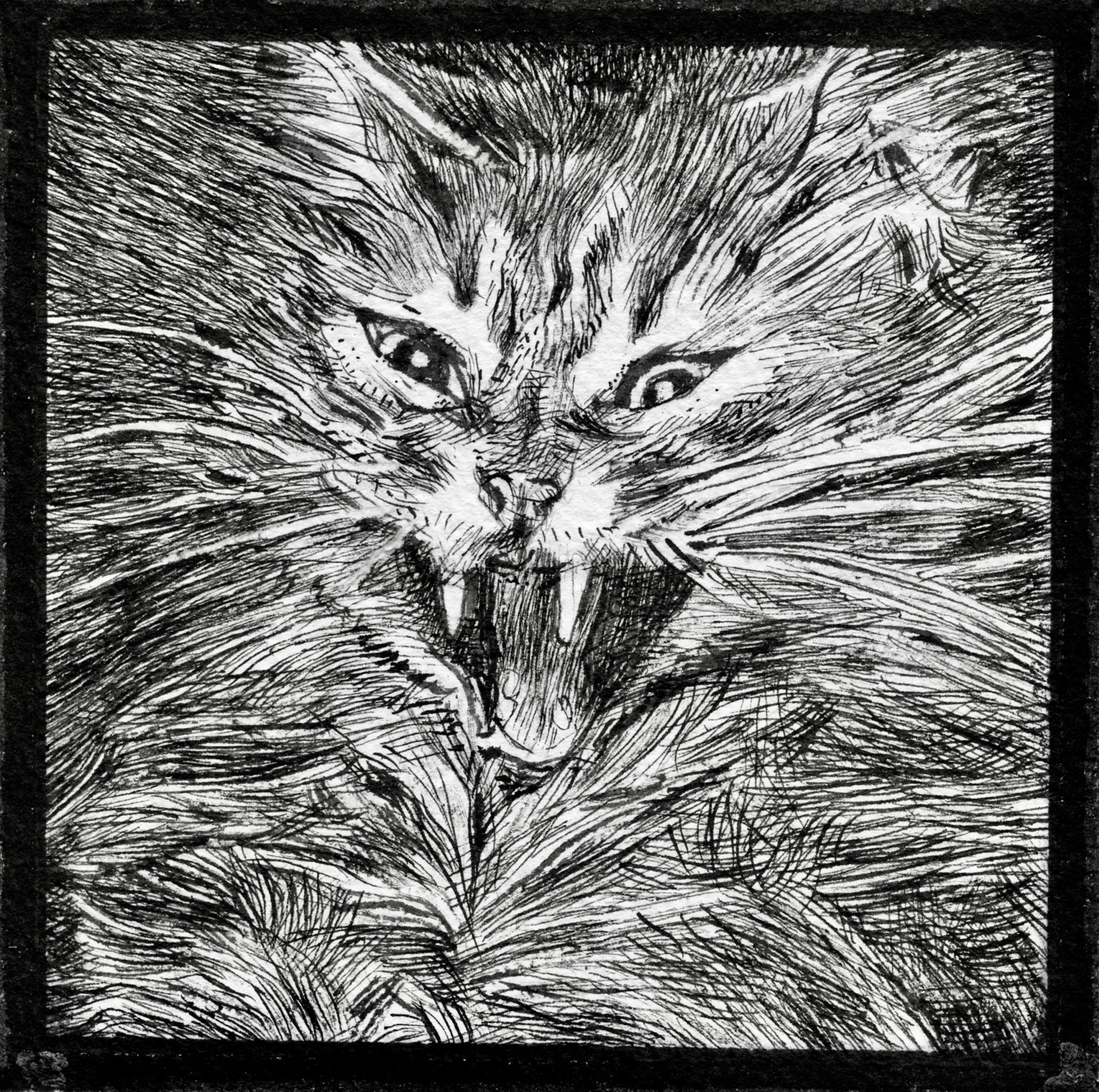 Black and white sketch of a fierce, snarling cat with sharp teeth, wide eyes, and fur details.