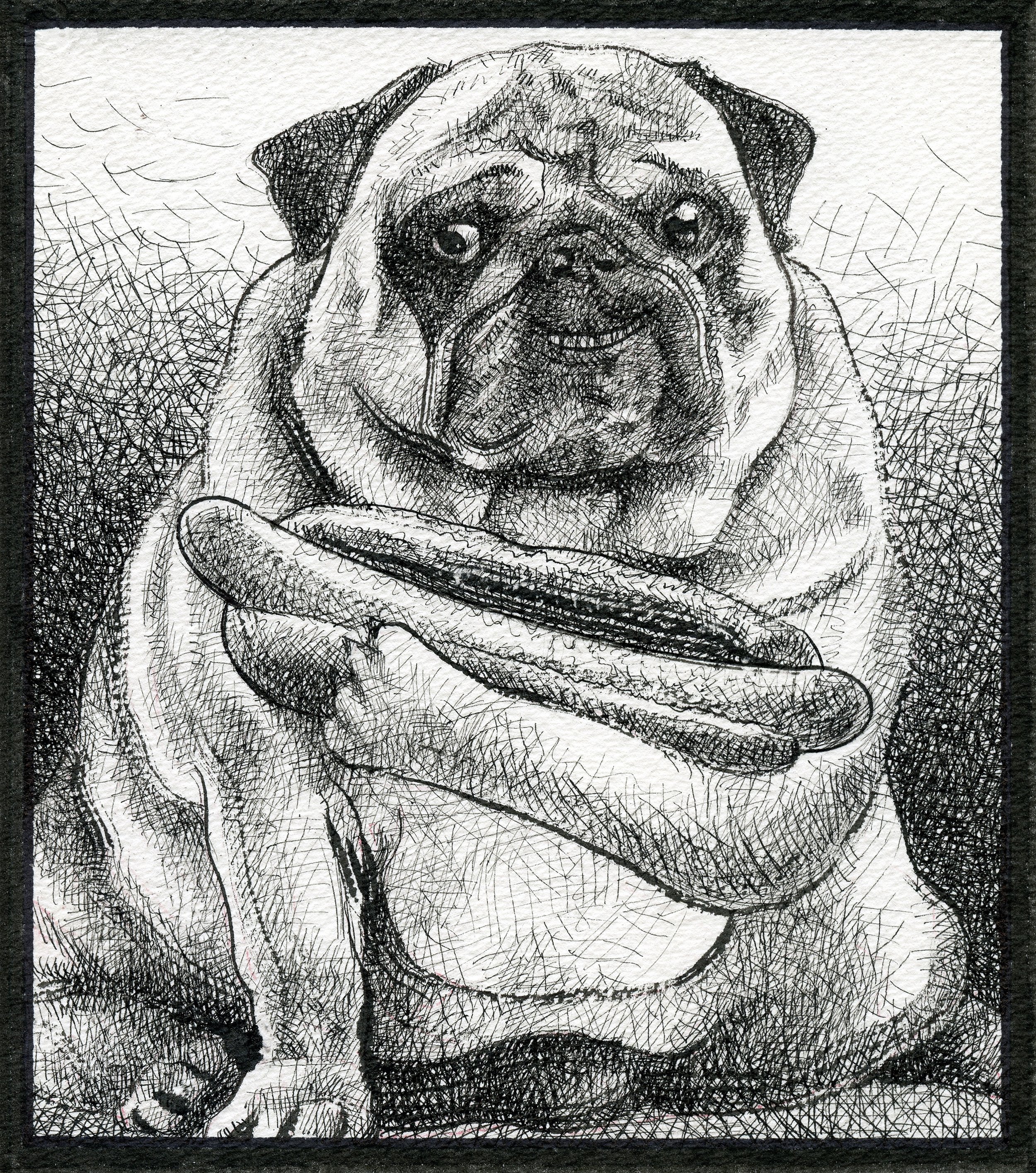 Black and white sketch of a pug dog holding a hot dog with a bun in its paw, with a textured background.