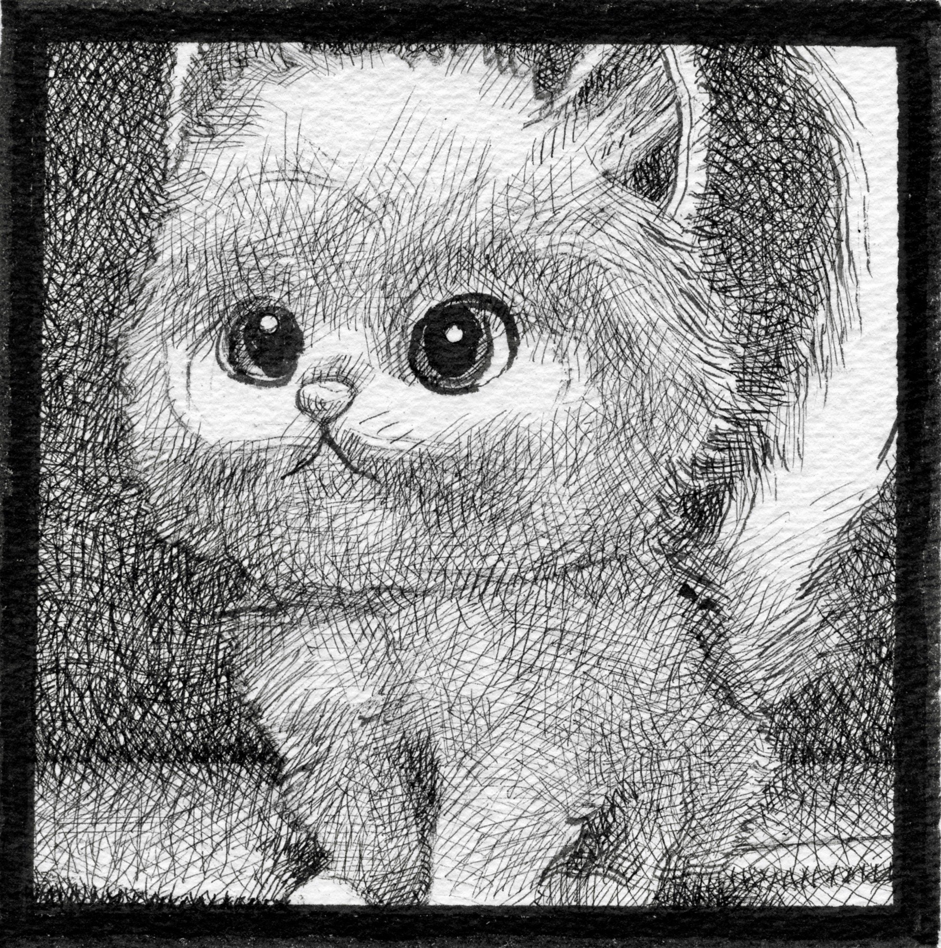 Black and white sketch of a cute kitten with large eyes, facing forward, inside a square border.