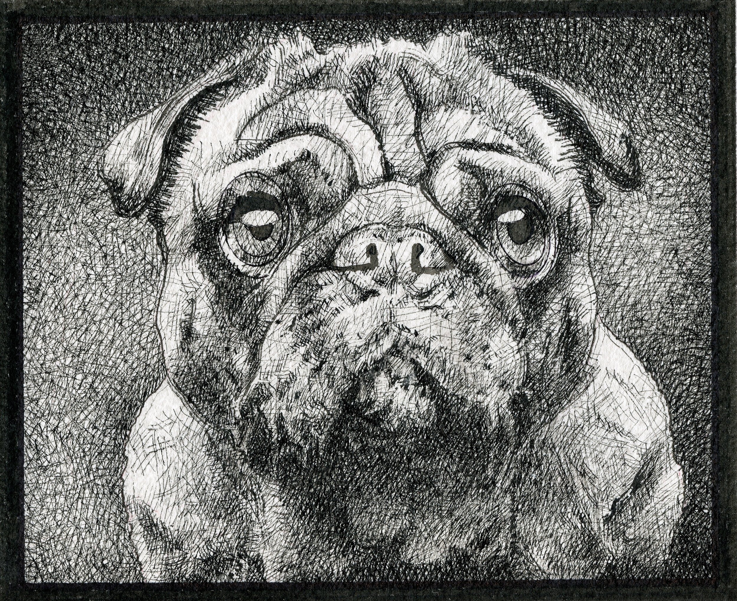 Sketch of a pug dog with one paw raised, showing a sad or thoughtful expression.