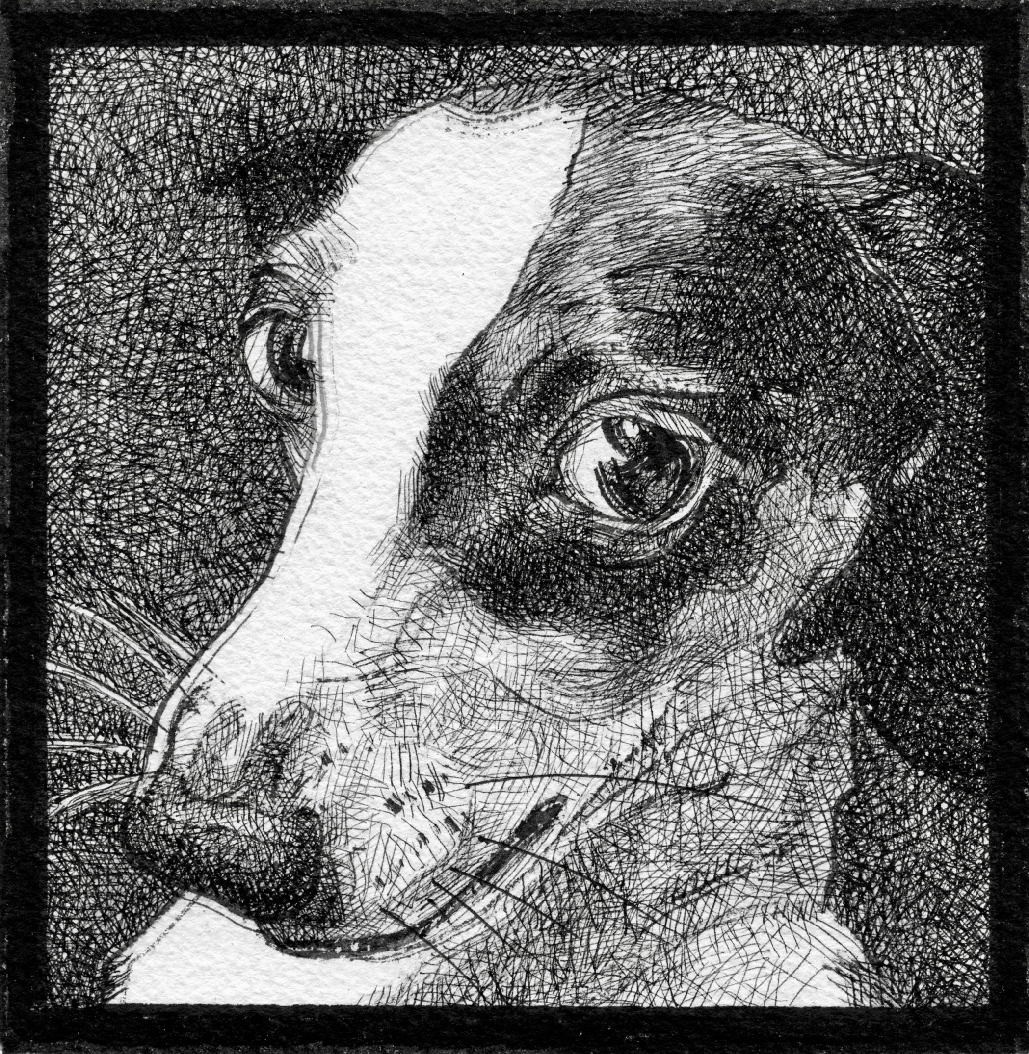 A detailed, black and white sketch of a dog with large eyes, resting its head on its paw.