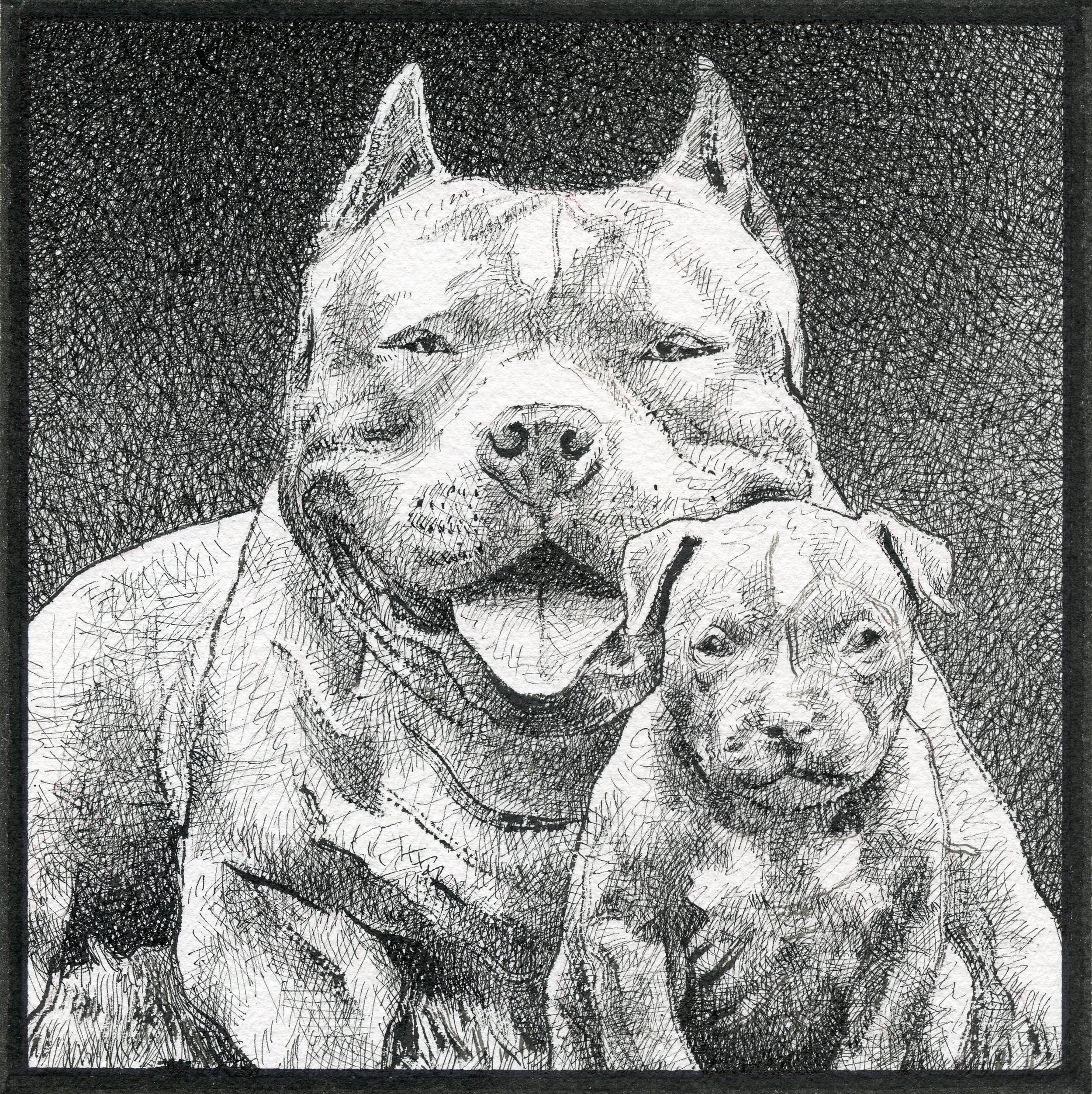Pen sketch of two happy dogs, one larger with its tongue out and one smaller, both facing forward, with a dark textured background.