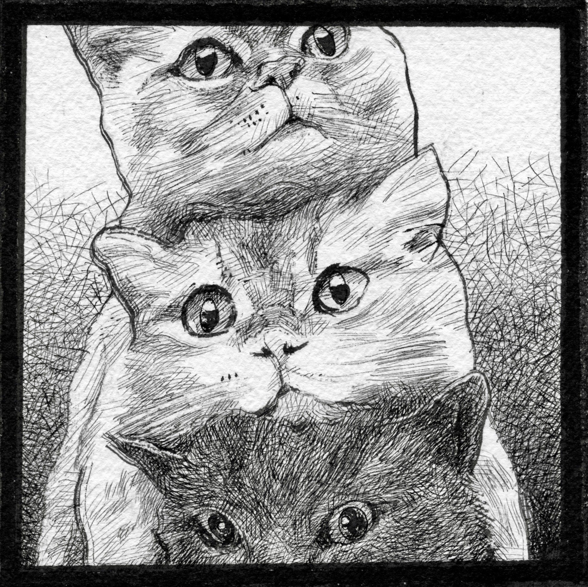 A black and white sketch of three cats stacked vertically, all looking forward.