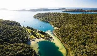 Currawong Arial Bush .jpeg