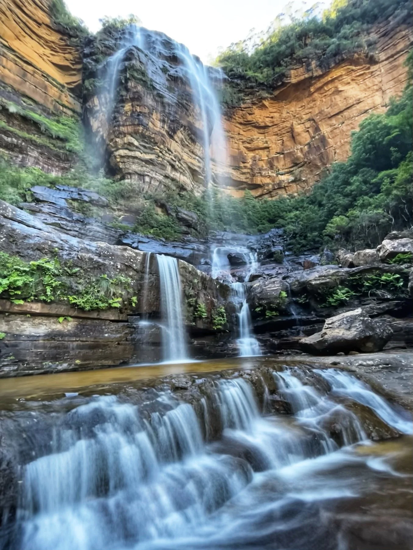 Wentworthfalls .jpg
