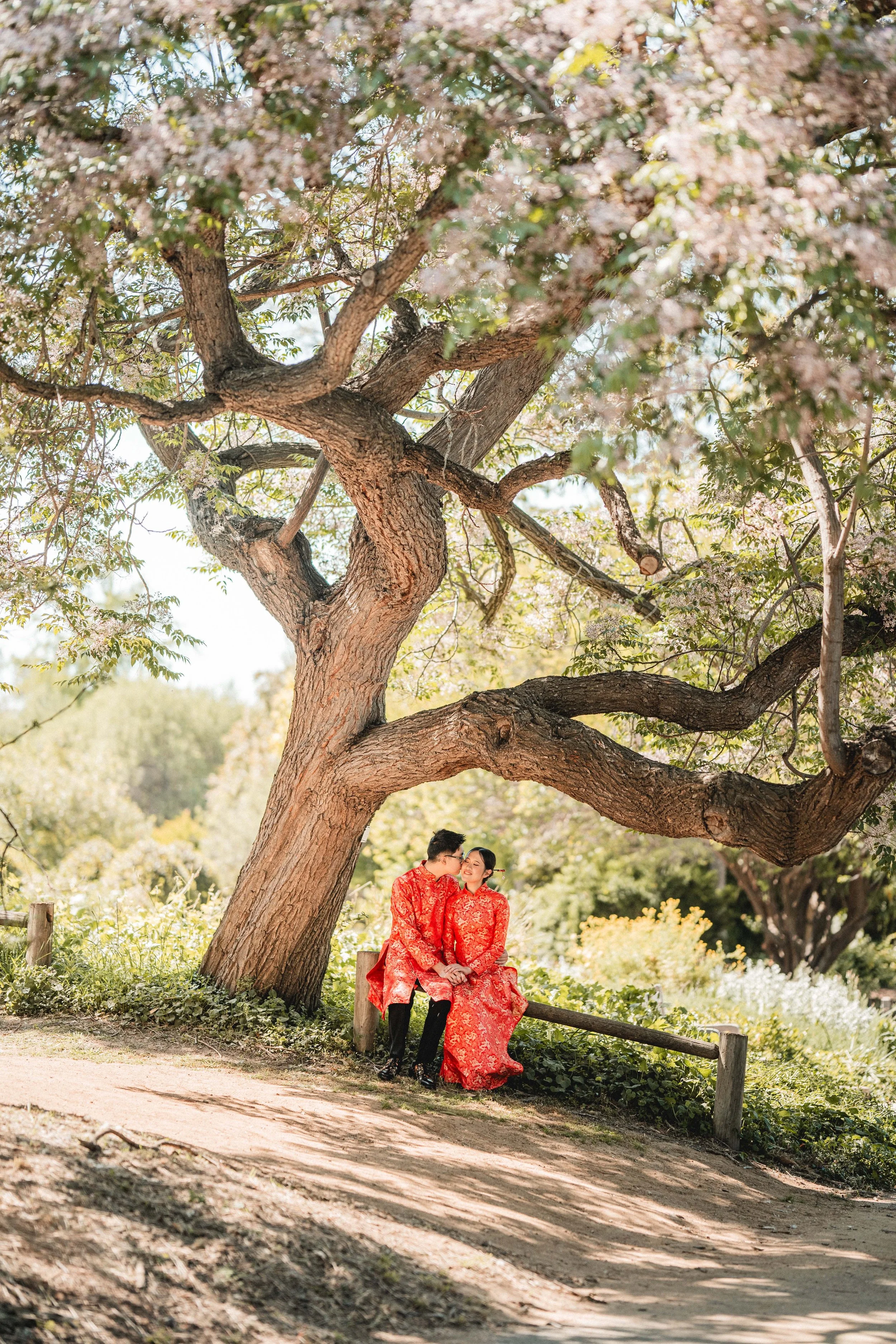 A couple dressed in matching red traditional Asian attire sitting on a bench under a large blooming tree in a park, with green foliage and sunlight filtering through, LA Arboretum