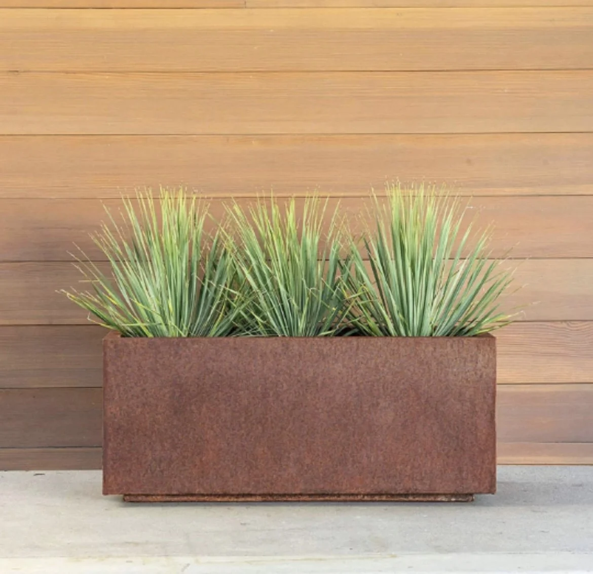A rectangular corten steel planter with three green spiky plants, set against a wooden panel wall background.