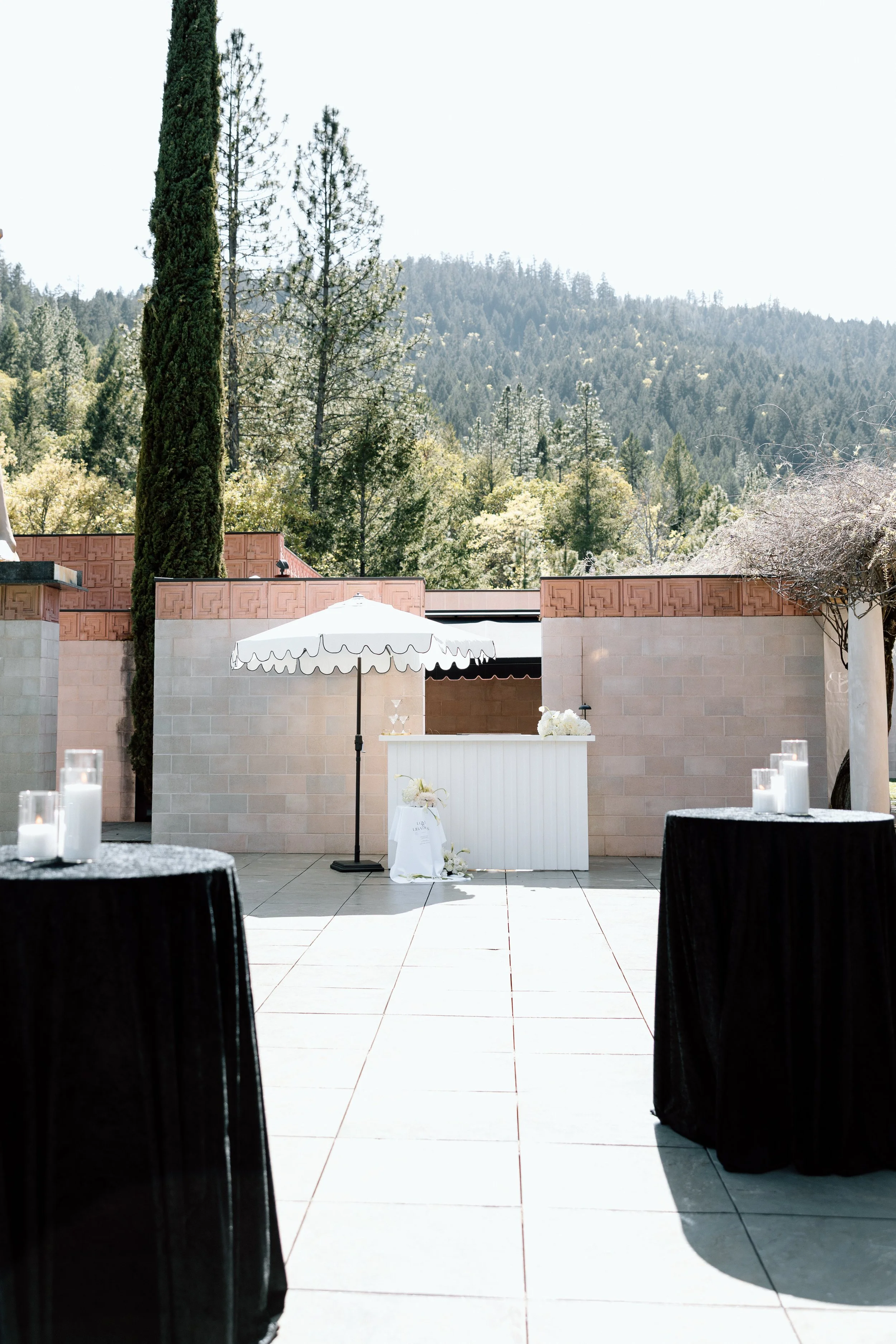 EMILY B. PHOTO CO. -- -uxury Wedding Photographer -- Bird Estate -- Rogue River, Oregon -- COCKTAIL HOUR-26.jpg