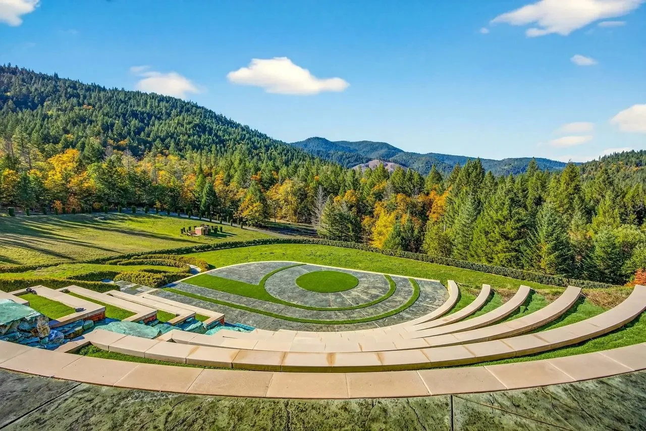 Bird Estate Drone Amp.jpeg