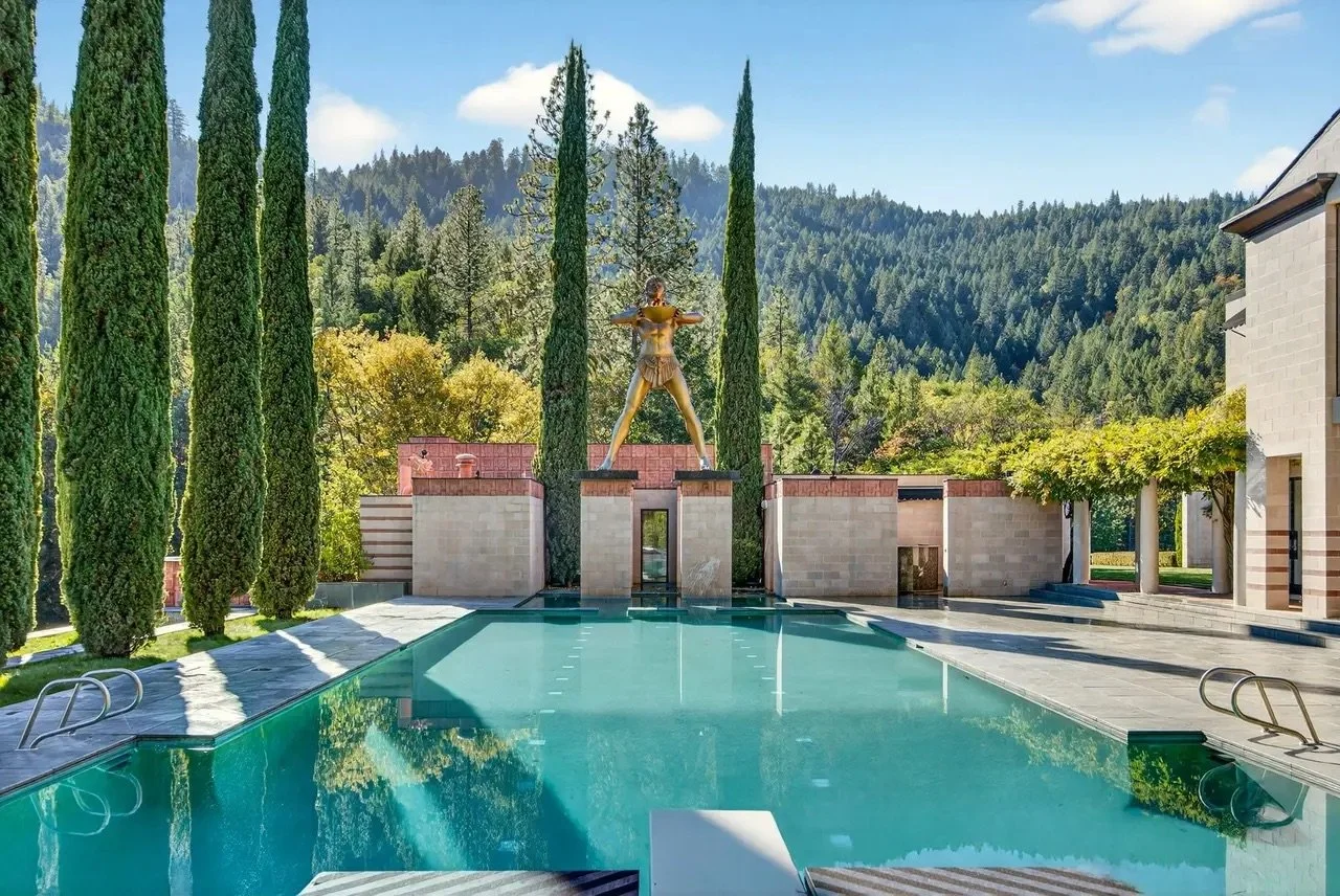 Pool Bird Estate Drone.jpeg