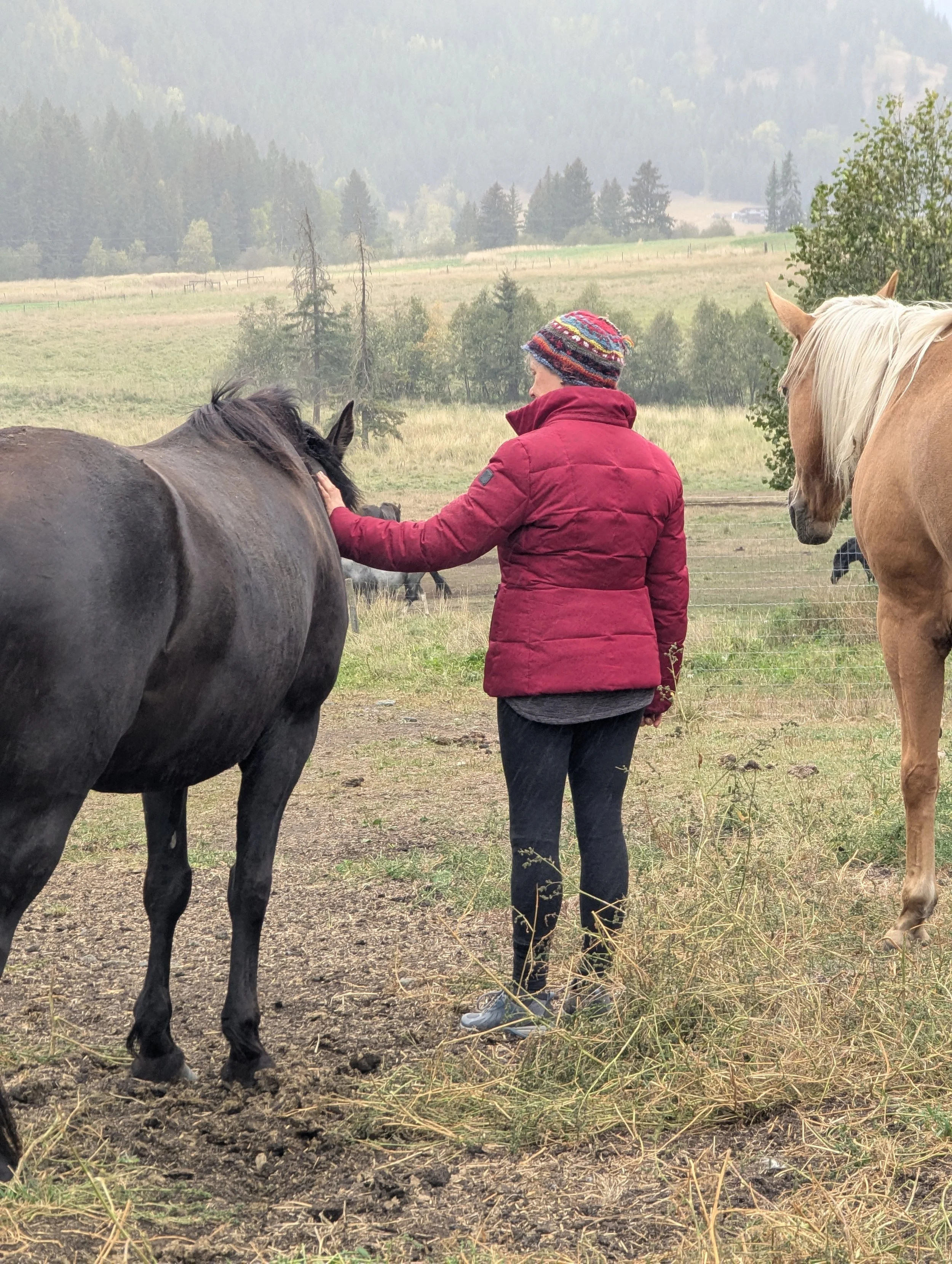 Cherrie & horse.jpg