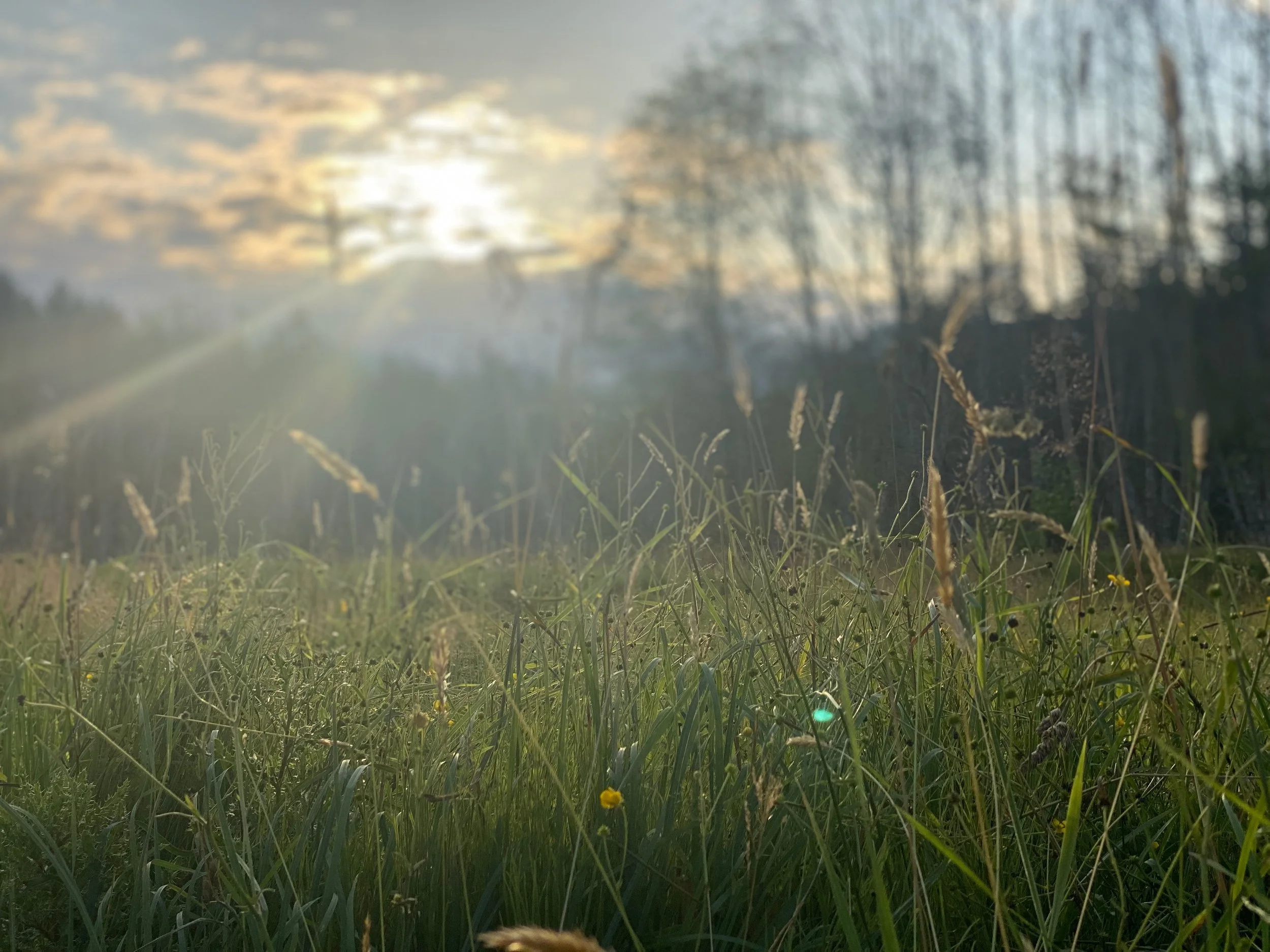Creating Heaven on Earth