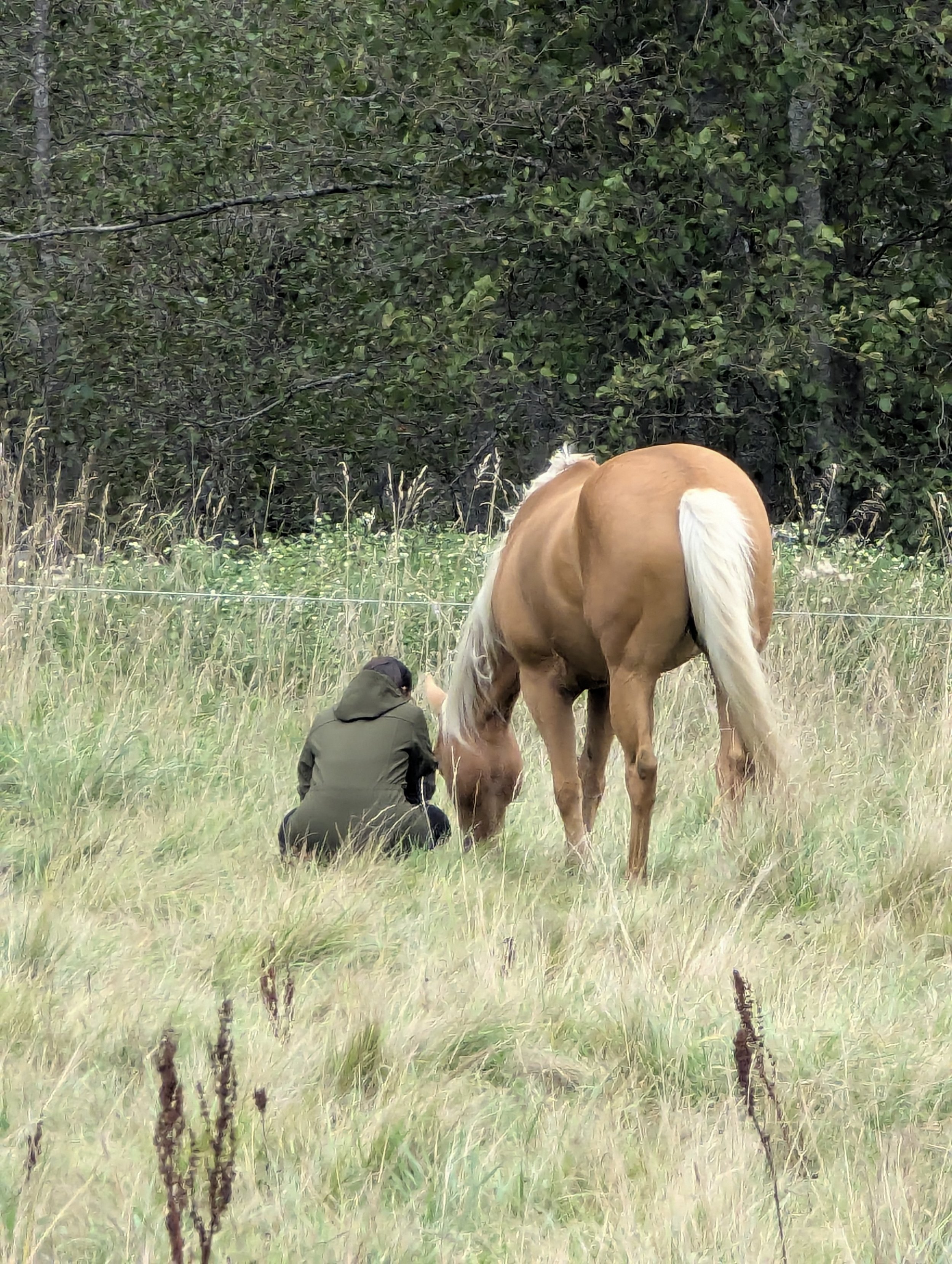 Mariee & horse 2.jpg