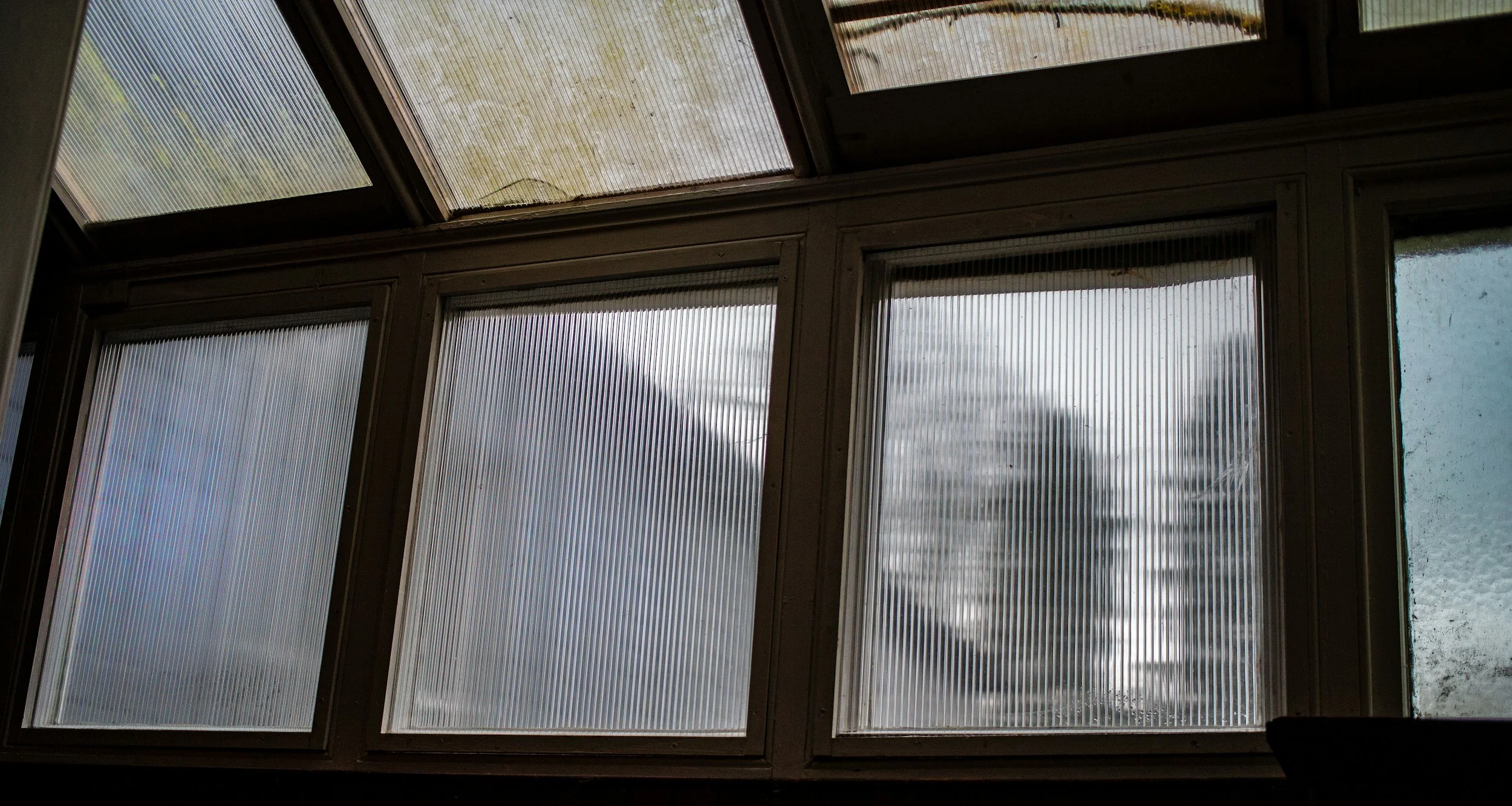 Why Do I Feel Emotionally Numb?