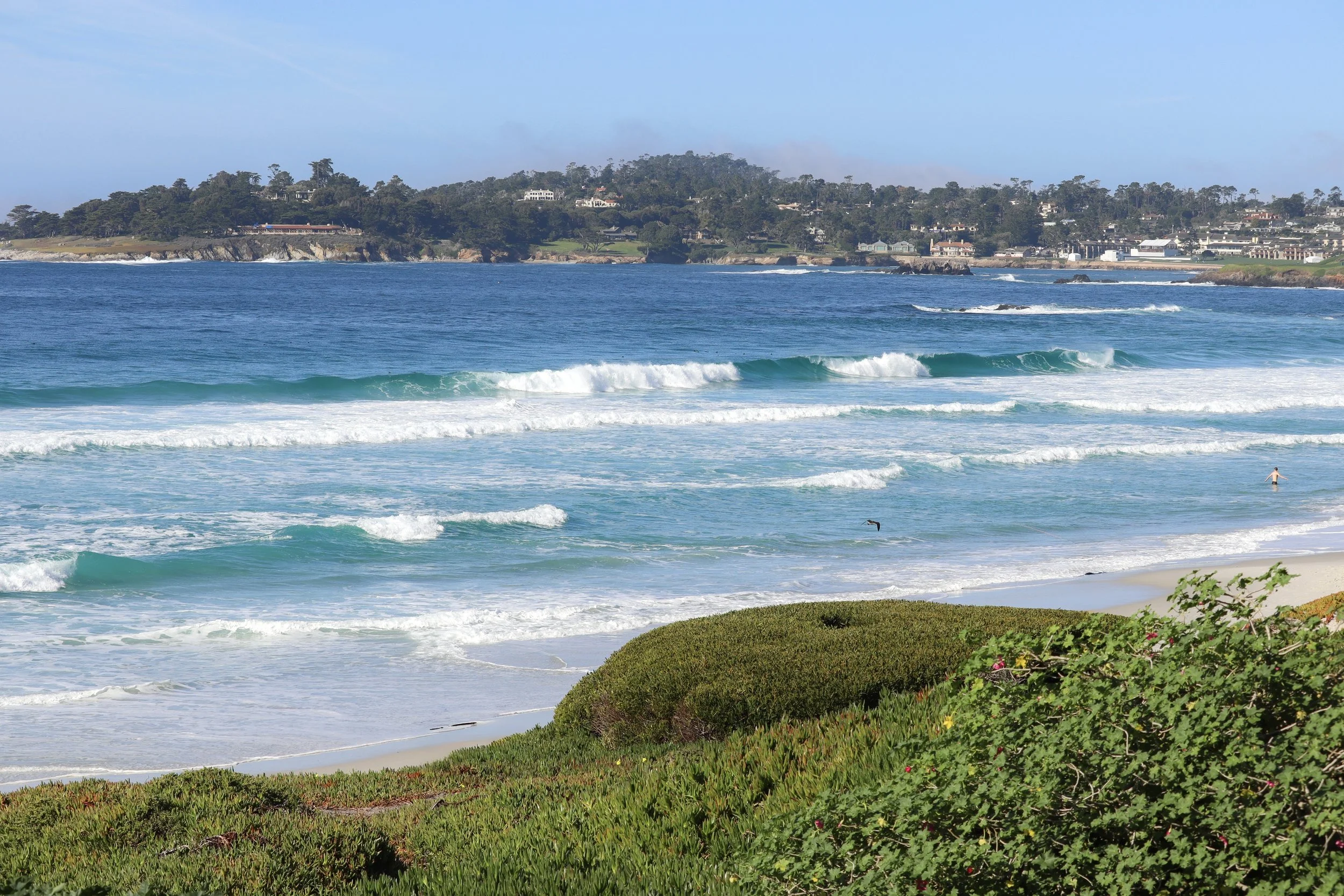 Carmel Waves