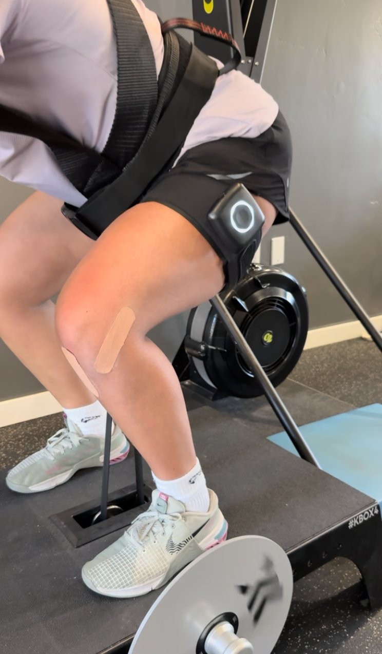 Saga Fitness BFR Cuffs