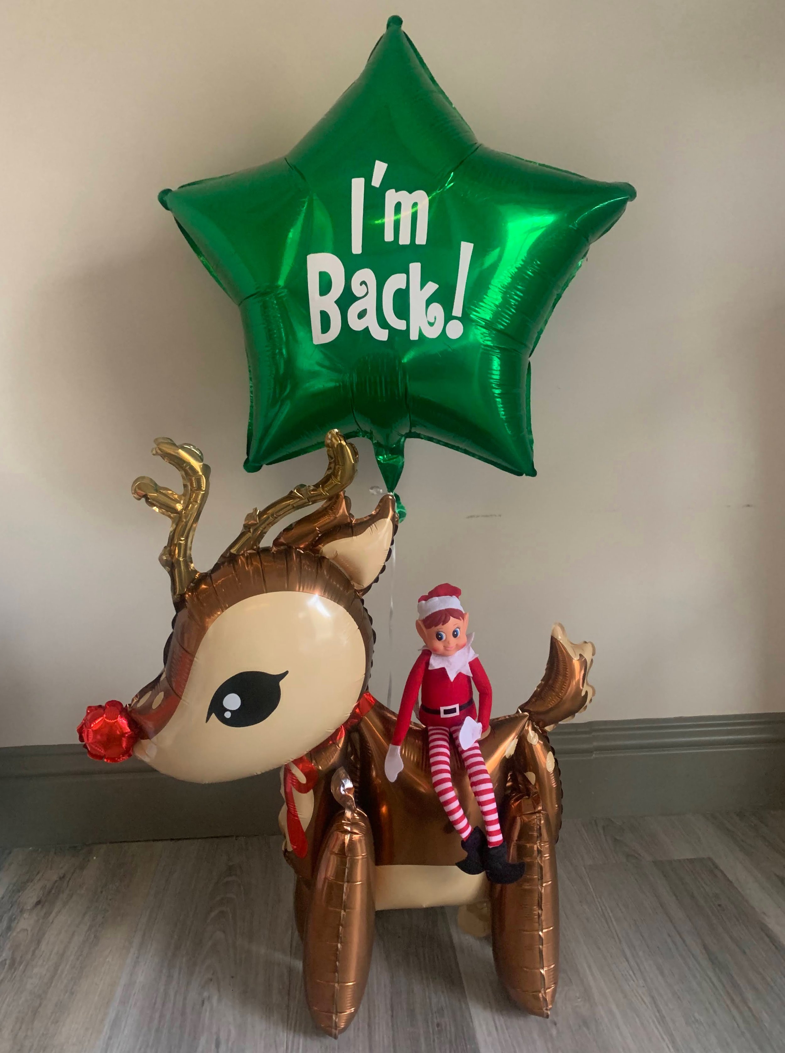 Elf Reindeer Arrival