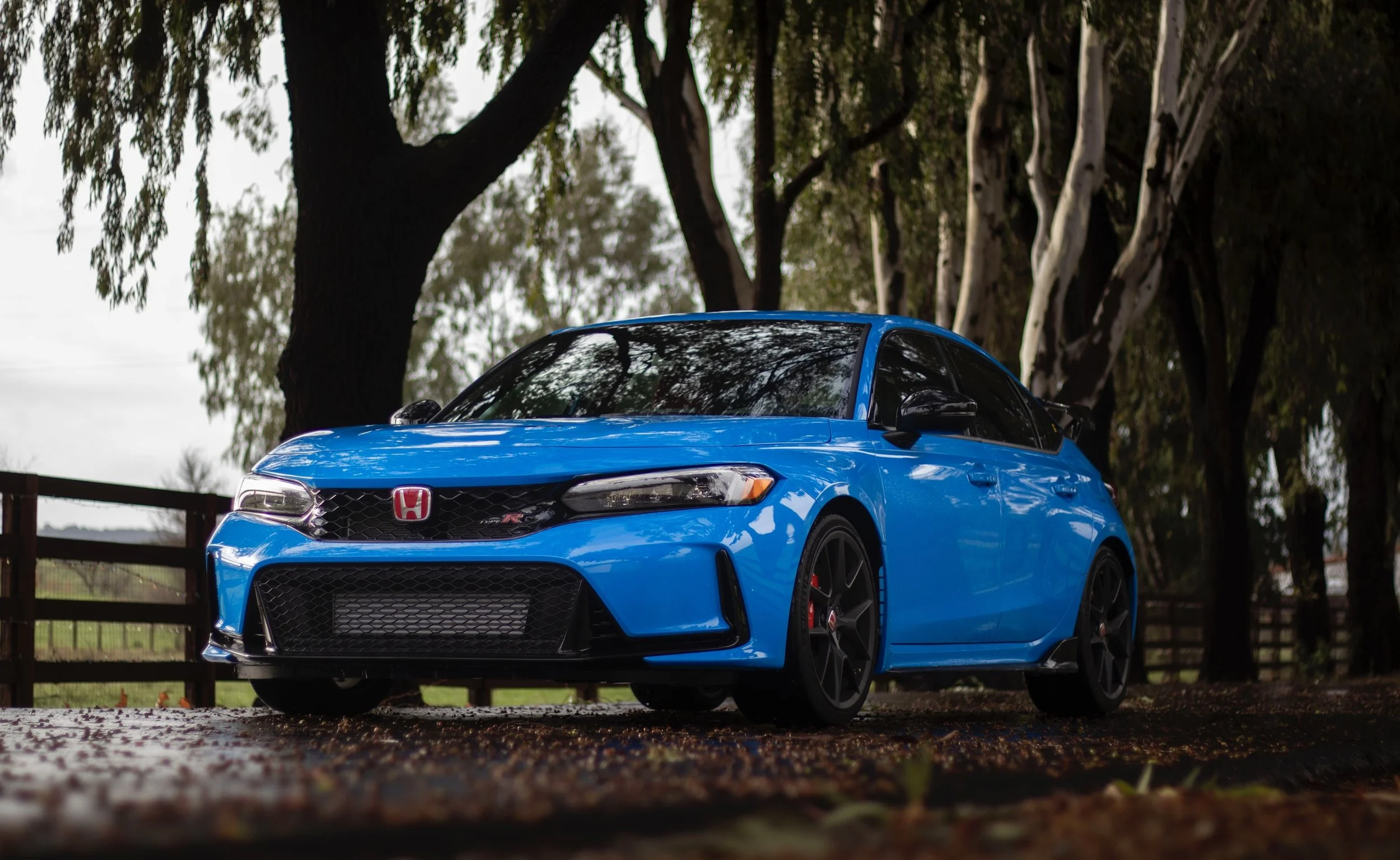 A blue Honda Civic Type R with Paint Protection Film (PPF) Installed on the full body. Full Body PPF new car.