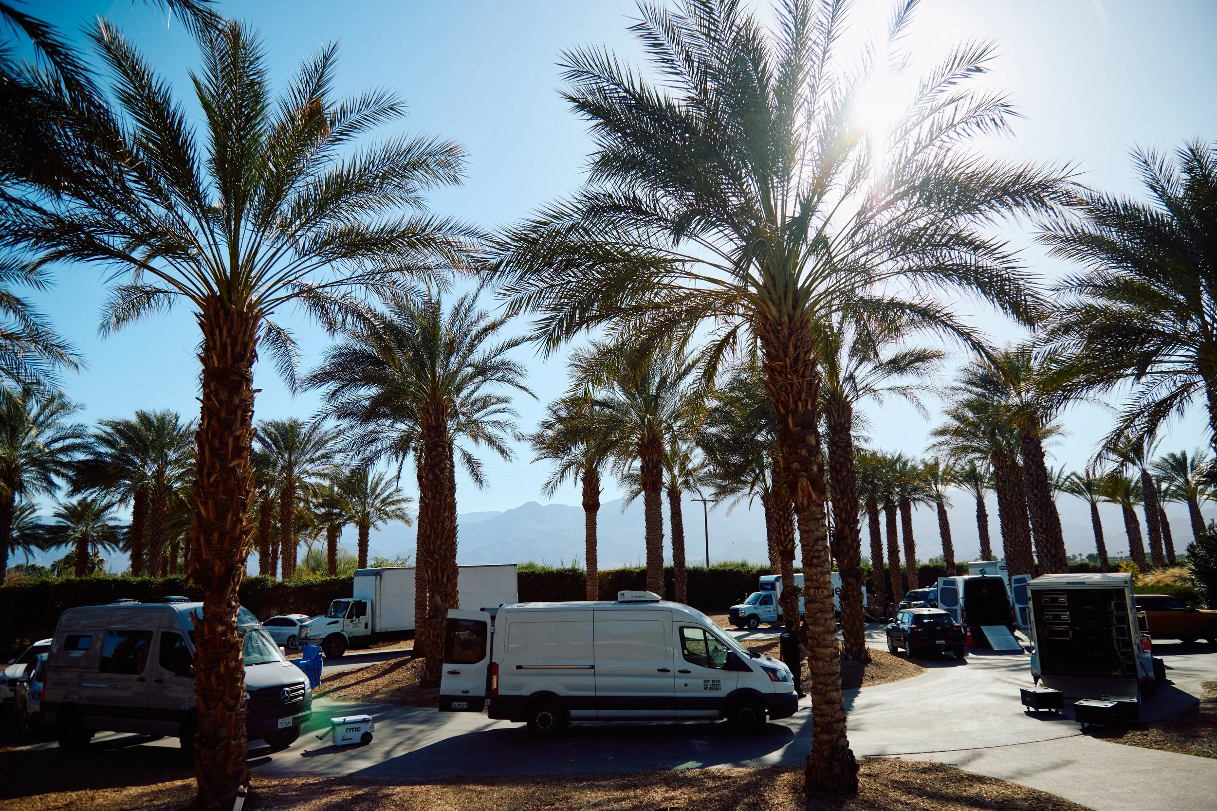 Palm trees lining a parking lot with trucks and vans under a bright blue sky, sunlight shining through the trees.