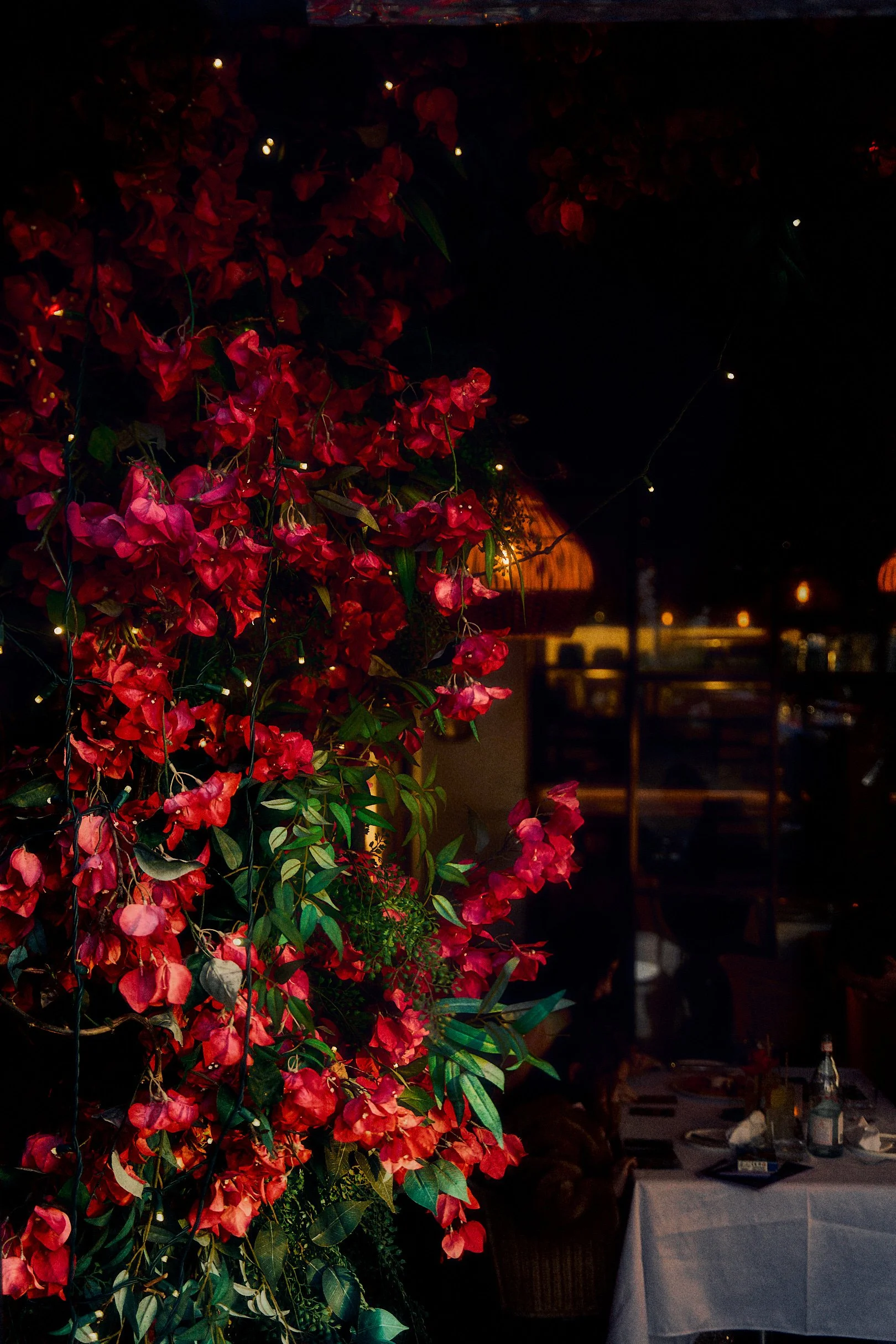 Dark indoor setting with a large cluster of red flowers and green leaves. Warm lighting and some tables with chairs visible in the background.