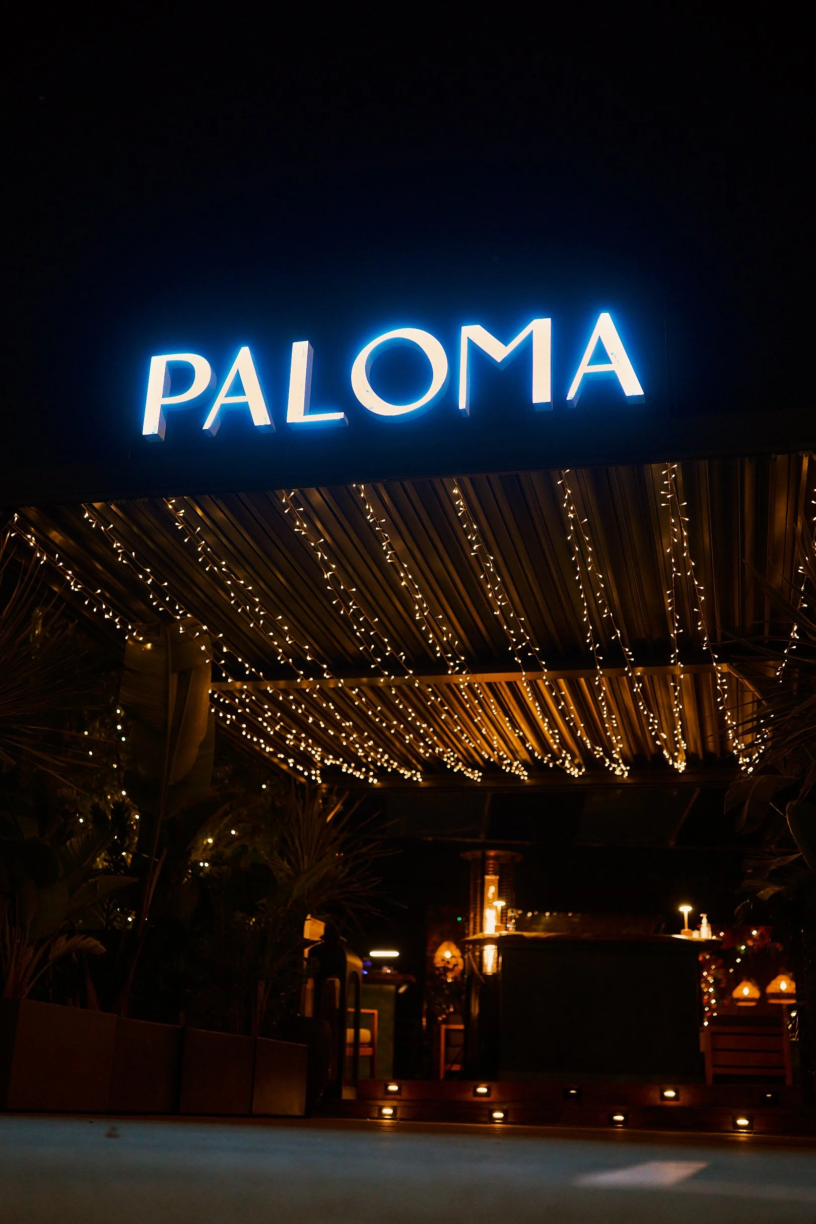 PLM011725S1_SI [Jerry] - 25.jpg