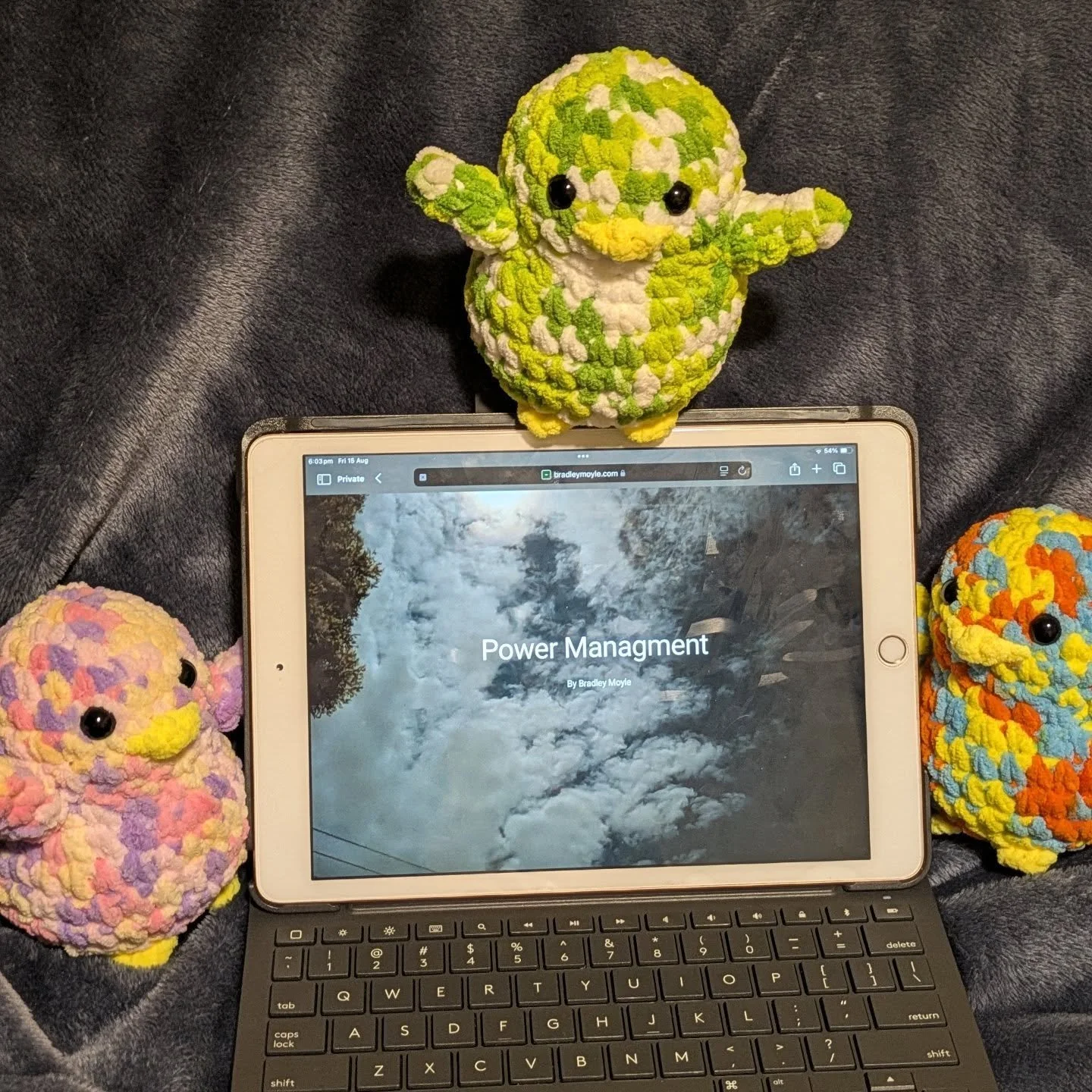 For the past few weeks, Lemonade Lime, Tropical, and Care Bear have been on a top-secret mission  quietly waddling around behind the scenes, helping us bring something exciting to life 🐧💻✨

From the very first brainstorm to the final touches, they&