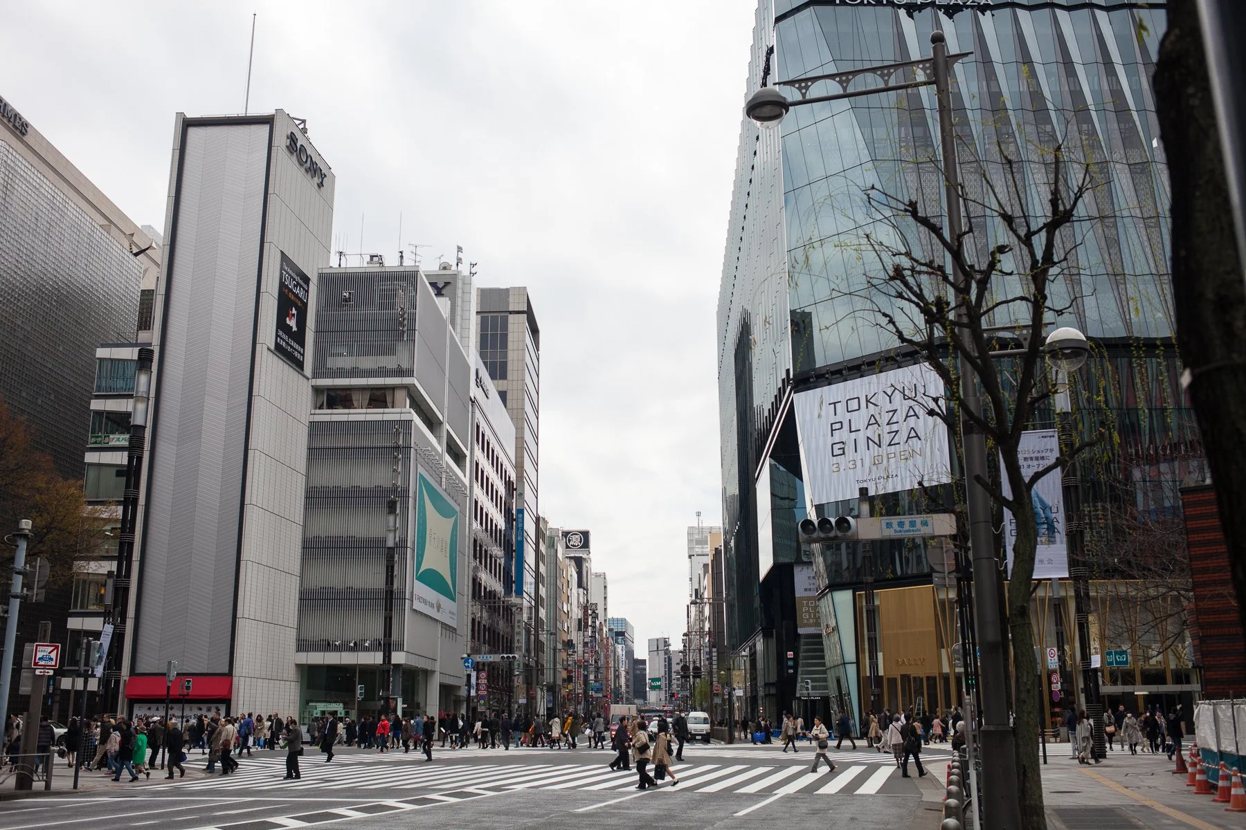 Will Auckland become like Tokyo, and would that be a bad thing?