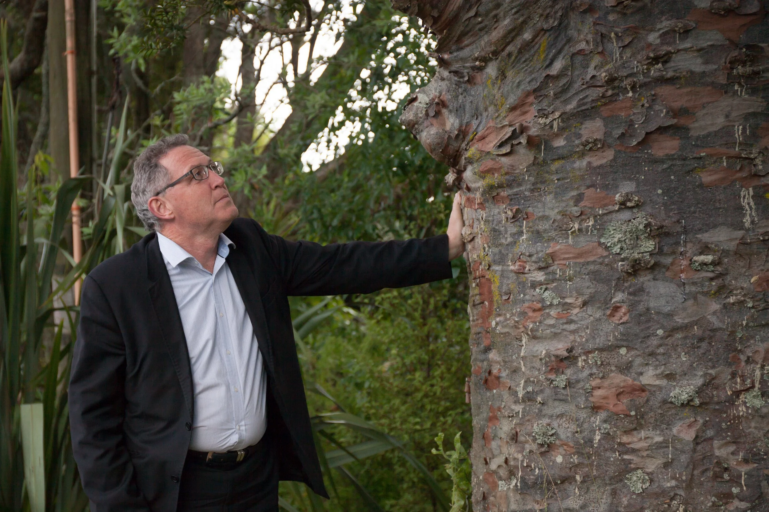 Kauri Dieback needs urgent attention