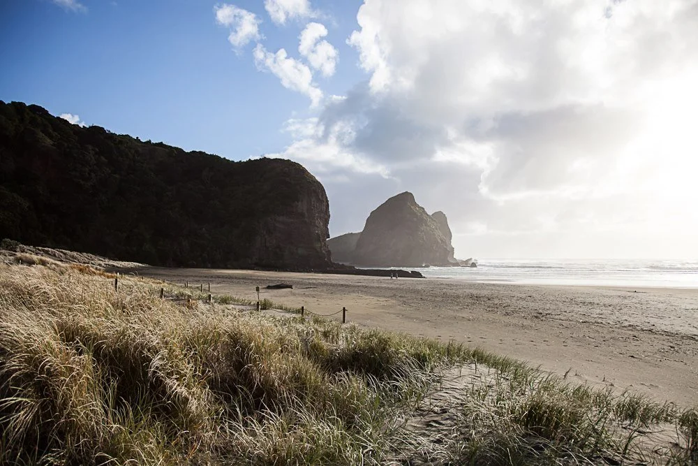 The big blue Waitakere report and fixing our water quality