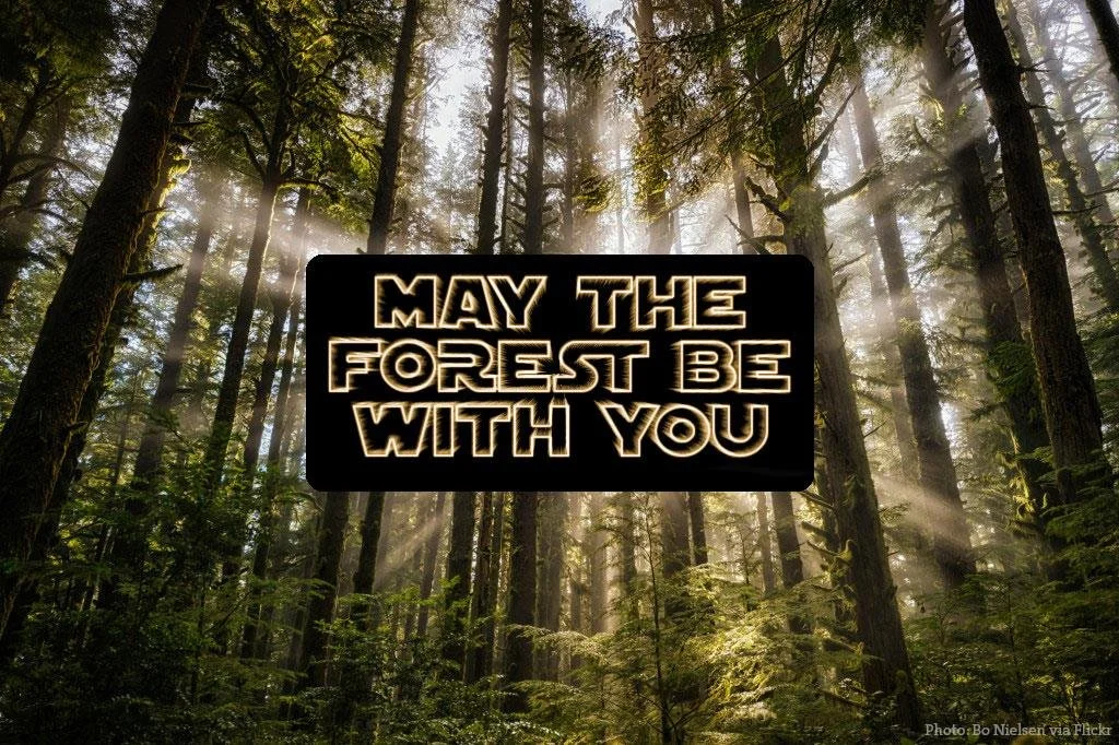 With enough trees ...