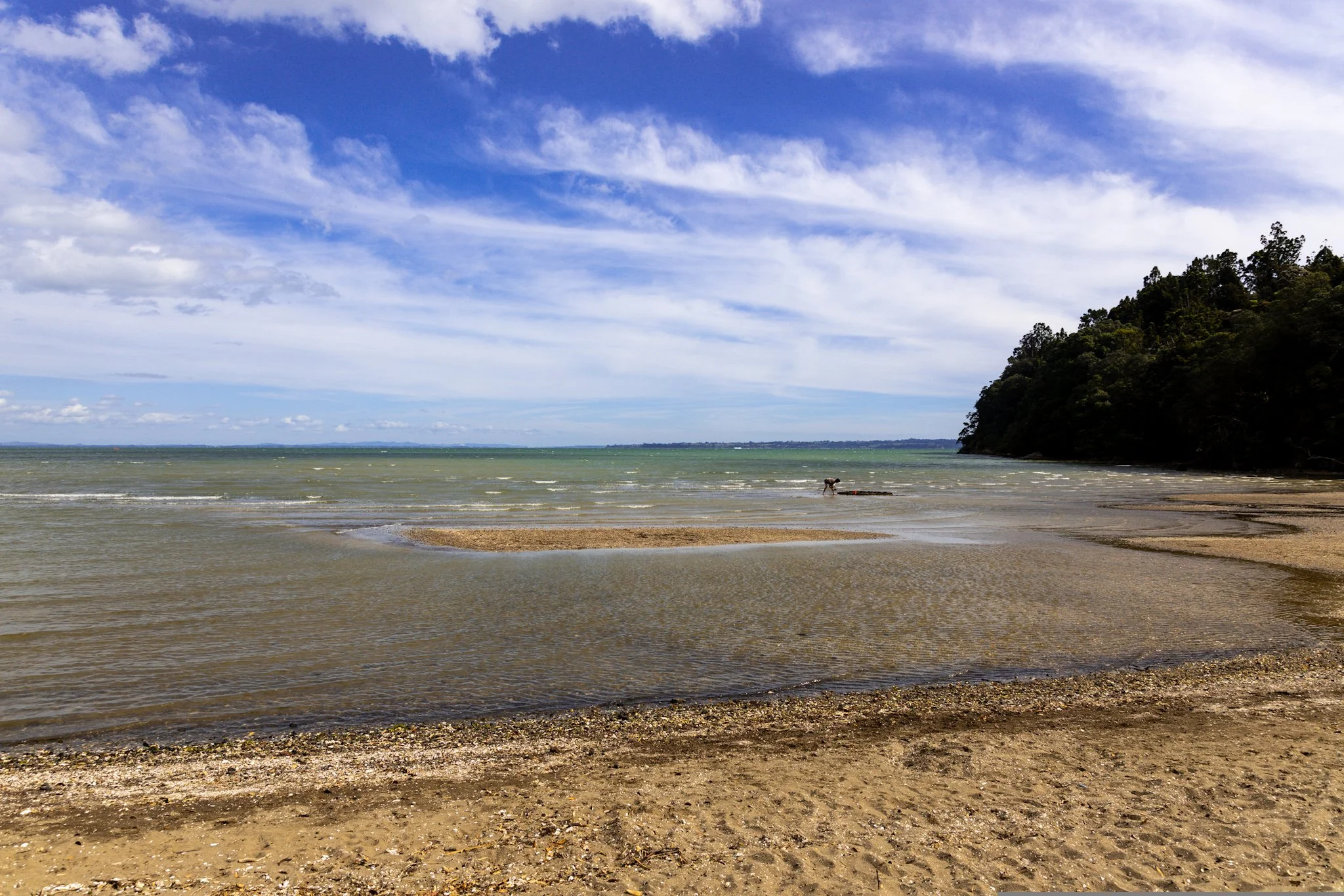 Titirangi beach will soon be swimmable