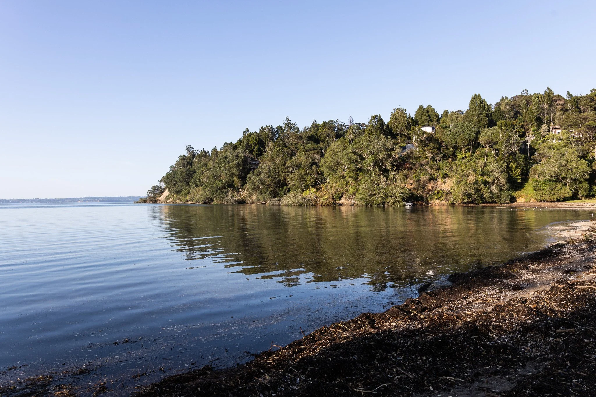 About Auckland Council's Shoreline Adaption Plans