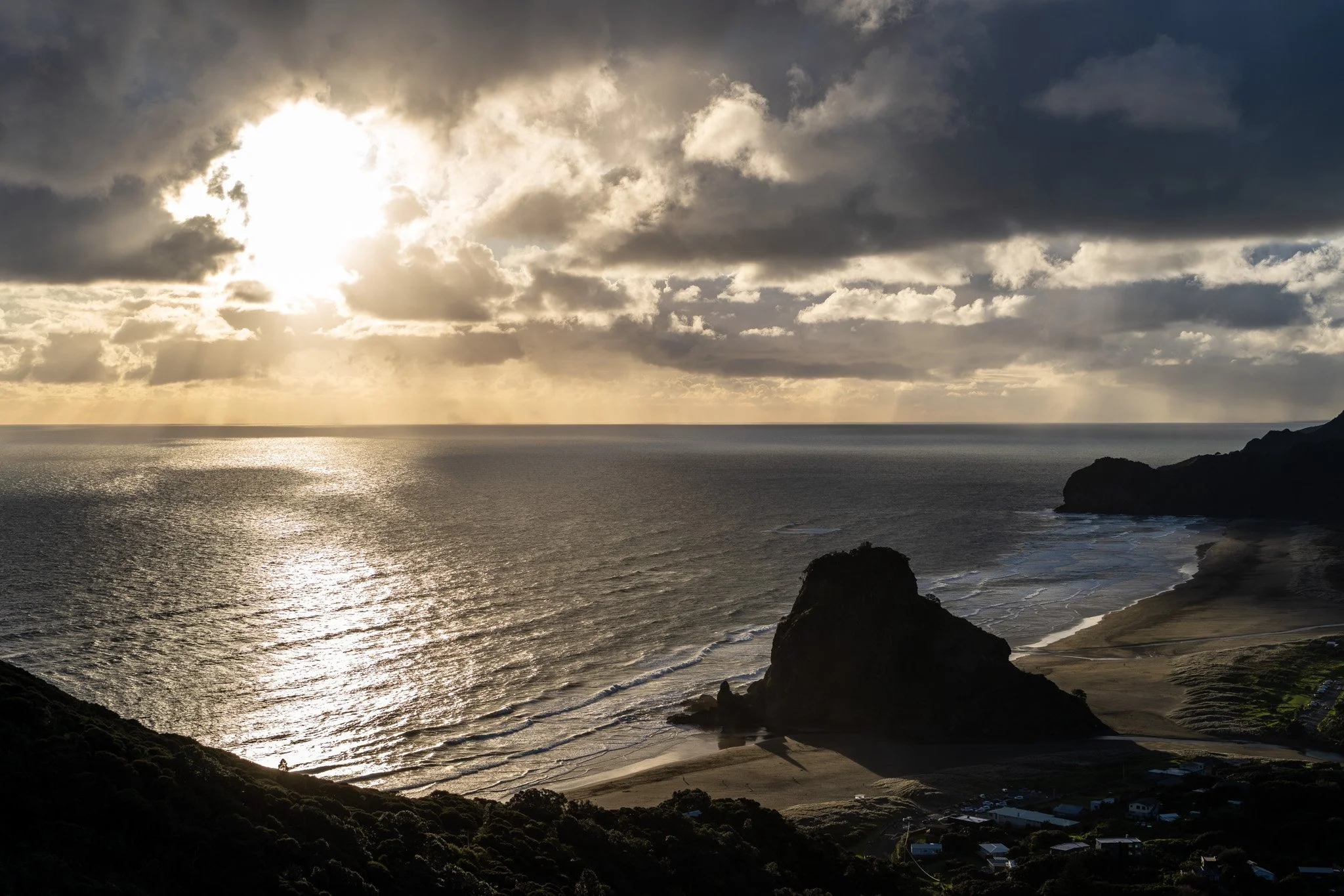 The Waitākere Ranges Heritage Area is threatened
