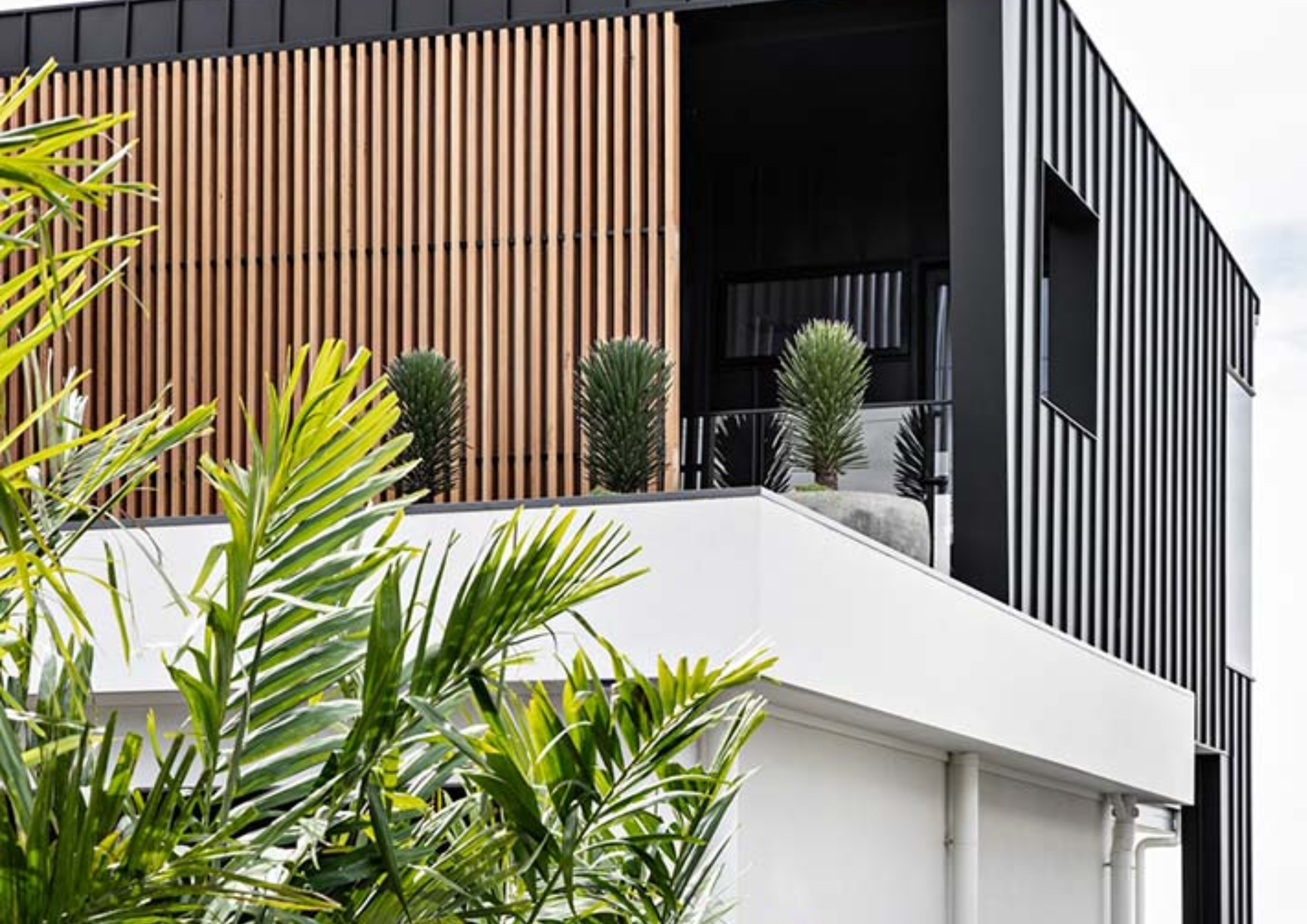Modern building with black and white exterior walls and wooden slats, featuring large windows and green plants on balcony and in foreground