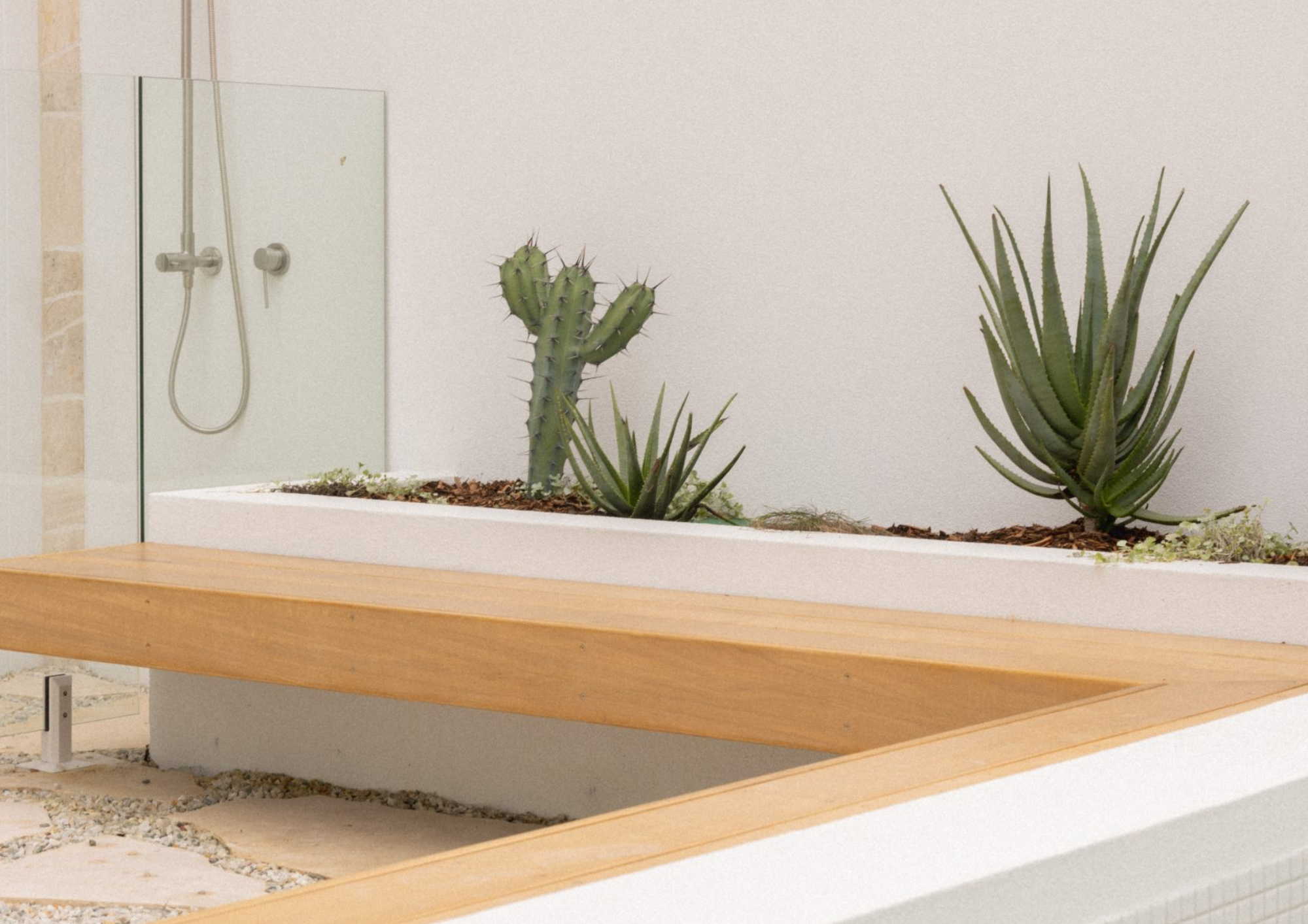 Indoor garden with two cactus plants in a white rectangular planter, adjacent to a shower with a glass door and a handheld showerhead.