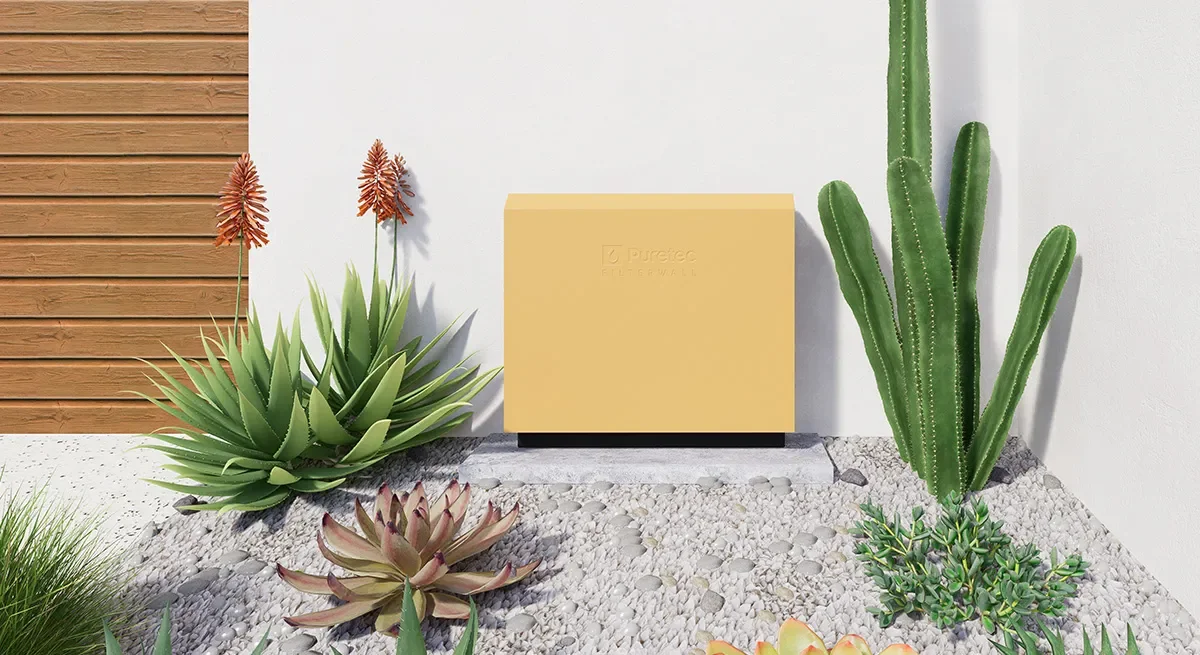 A yellow box labeled 'Pureec' placed on a concrete slab, surrounded by various desert plants, with a wooden fence on the left and a white wall on the right.