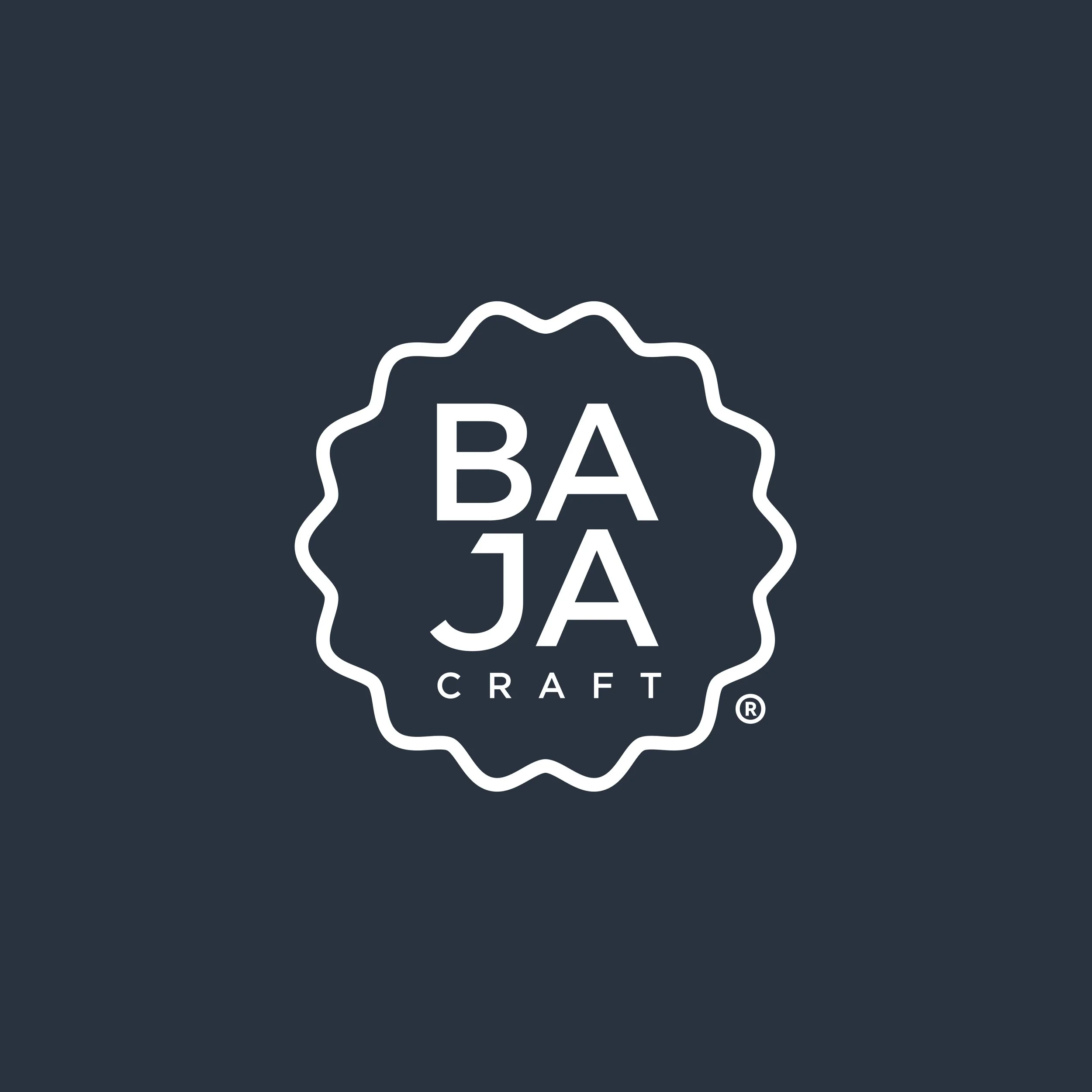 Bajacraft-1.jpg