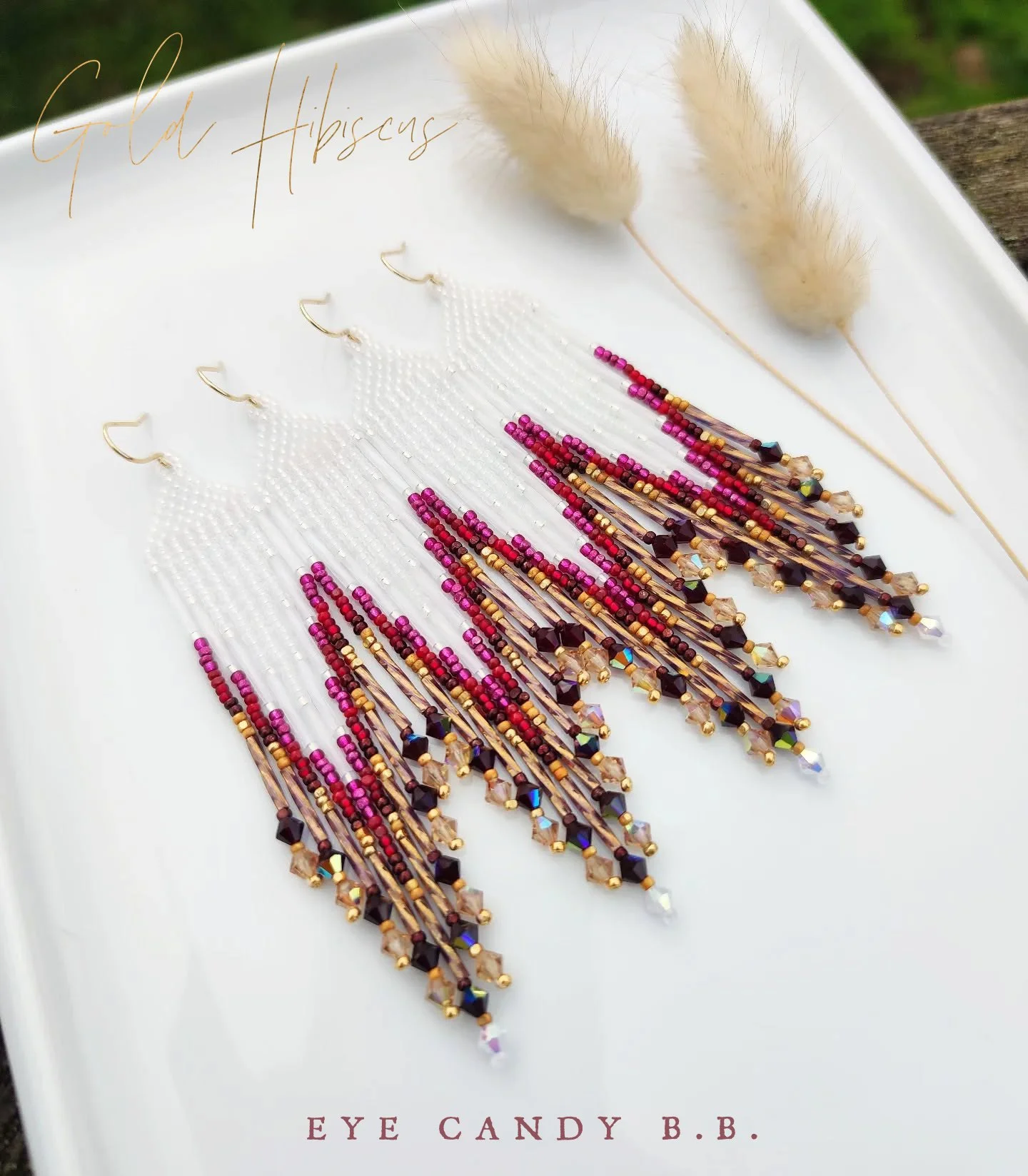 ✨ 𝔾𝕠𝕝𝕕 ℍ𝕚𝕓𝕚𝕤𝕔𝕦𝕤 ✨