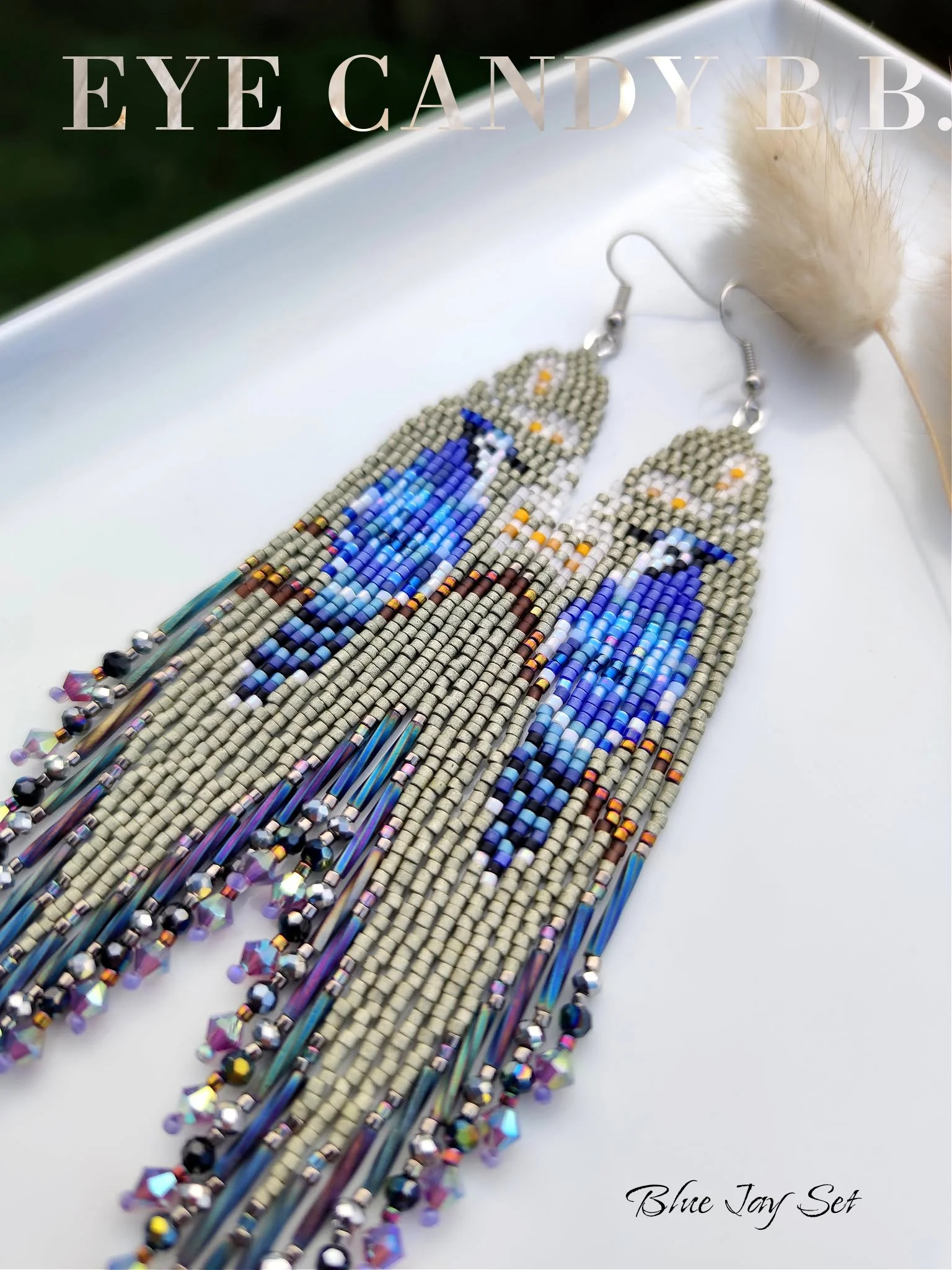 𝓑𝓵𝓾𝓮 𝓙𝓪𝔂 𝓢𝓮𝓽