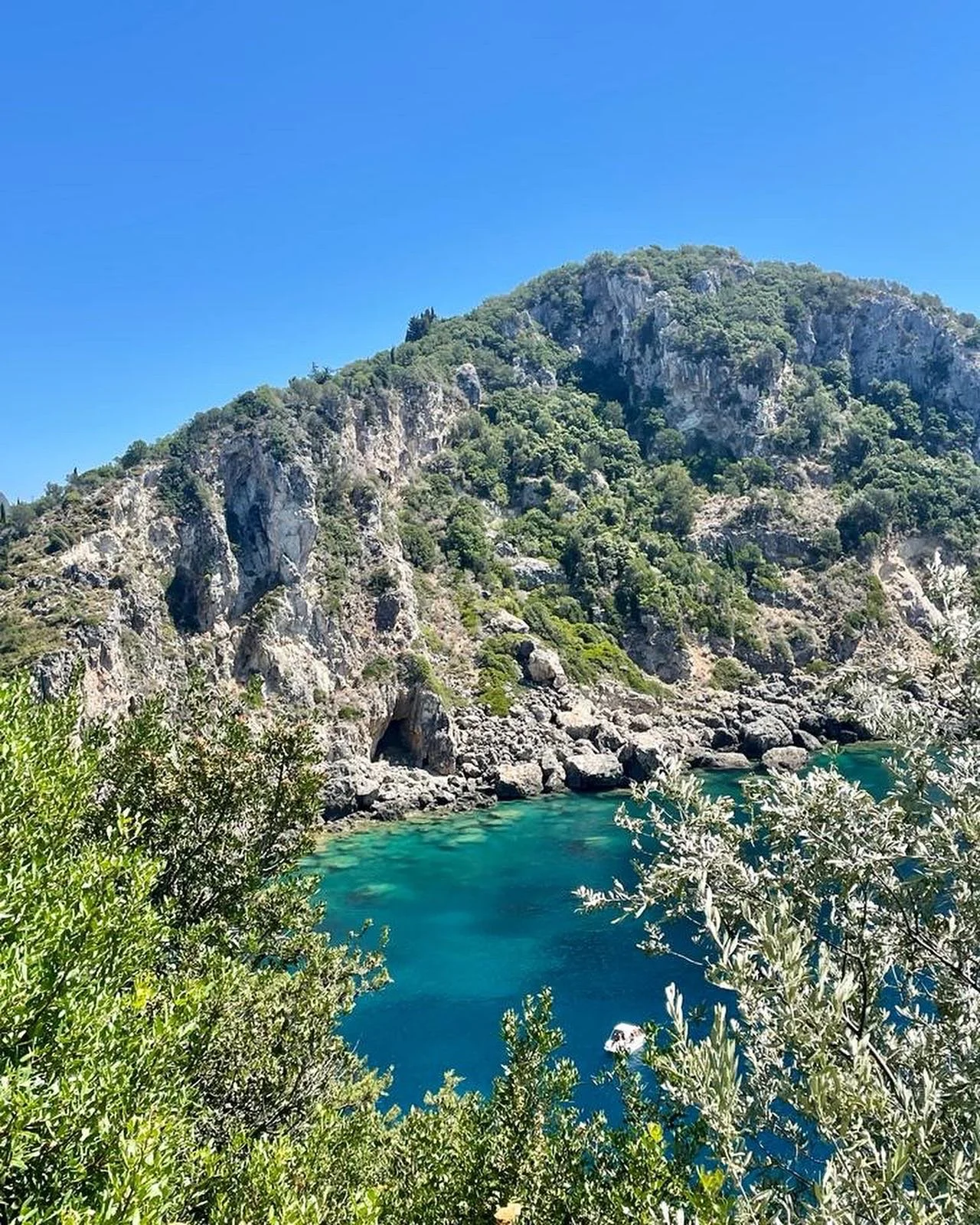 58464EBD-526C-4B20-9D5E-B1E170C6C8CE 2.JPG