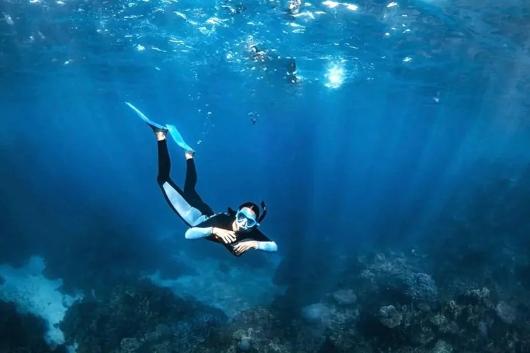 Ruth2Reef
