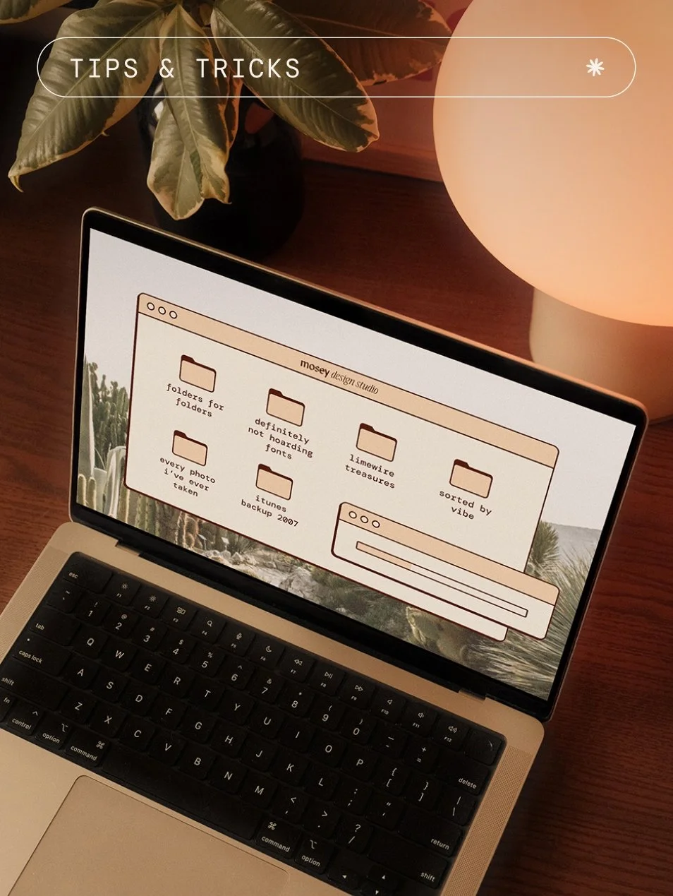 A Case for Naming Your Files Like a Pro