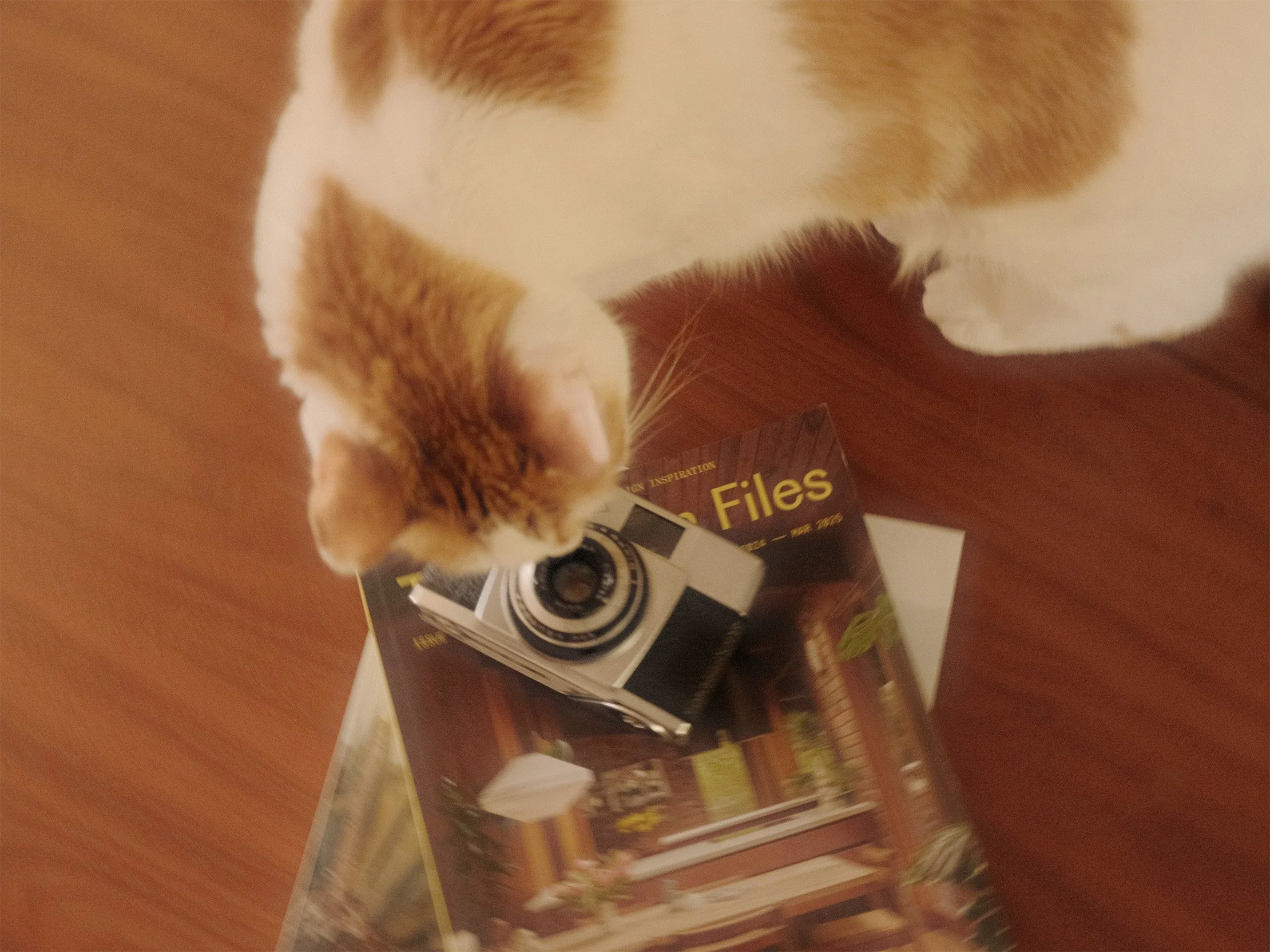 Orange and white cat sniffing a small vintage camera placed on a book on a wooden table.
