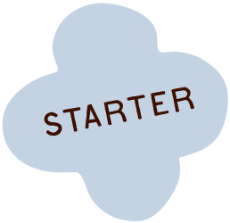 A light blue cloud with the word 'STARTER' written inside in brown letters.