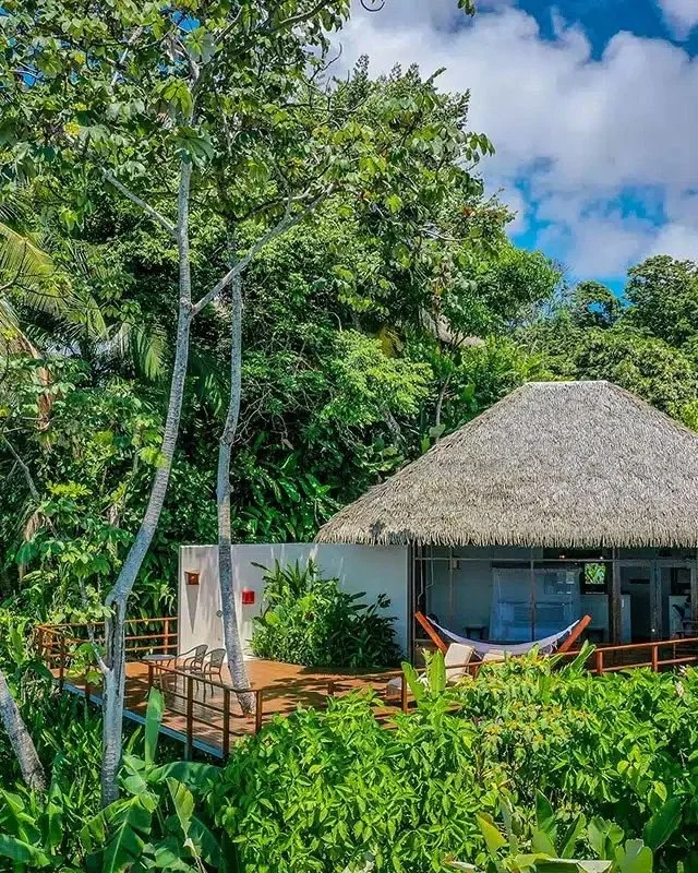🌴 Jungle mornings. 🦜 Macaws overhead. Conservation in action.

At Lapa Rios Lodge in Costa Rica, your stay directly protects one of the most biodiverse places on earth. 100% sustainable. 100% unforgettable. 

👉 DM us or email us at poppy@sustainab