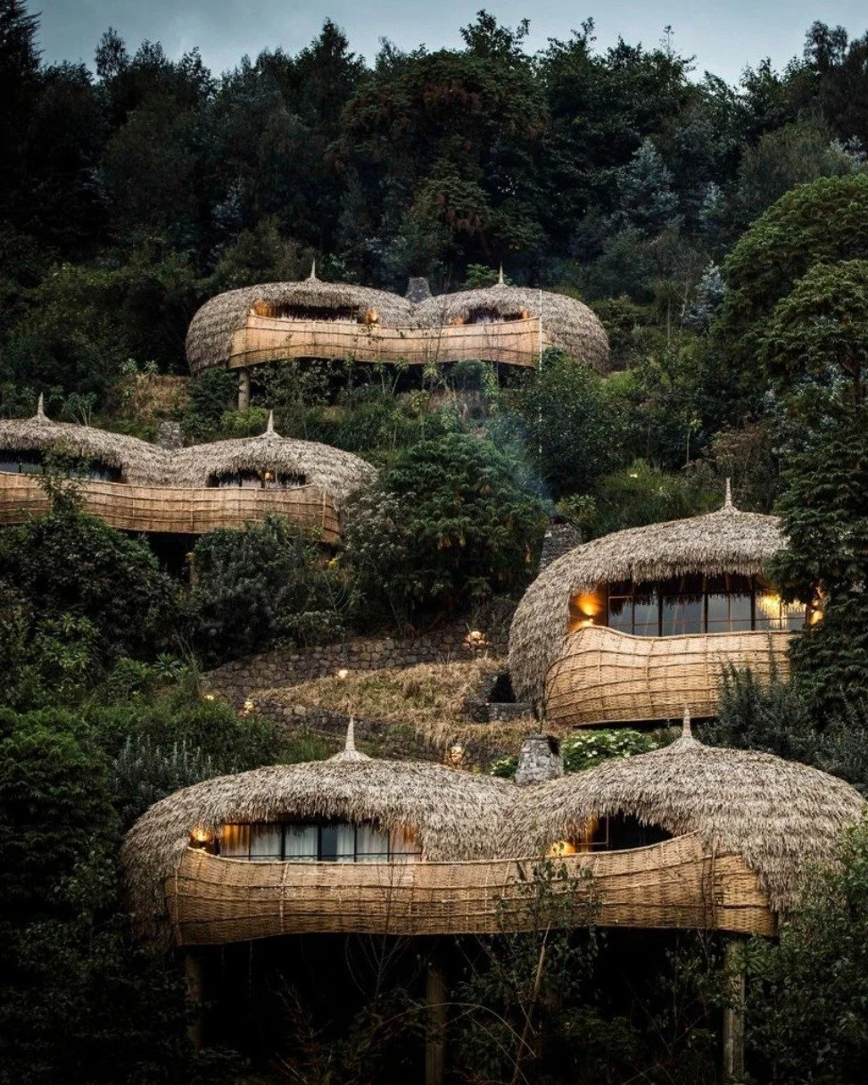 🦍 Eye-to-eye with mountain gorillas. Villas inspired by Rwandan tradition. Every stay funding conservation &amp; reforestation.

At Wilderness Bisate, your journey protects wildlife and empowers local communities. 💚

If you&rsquo;ve ever dreamed of