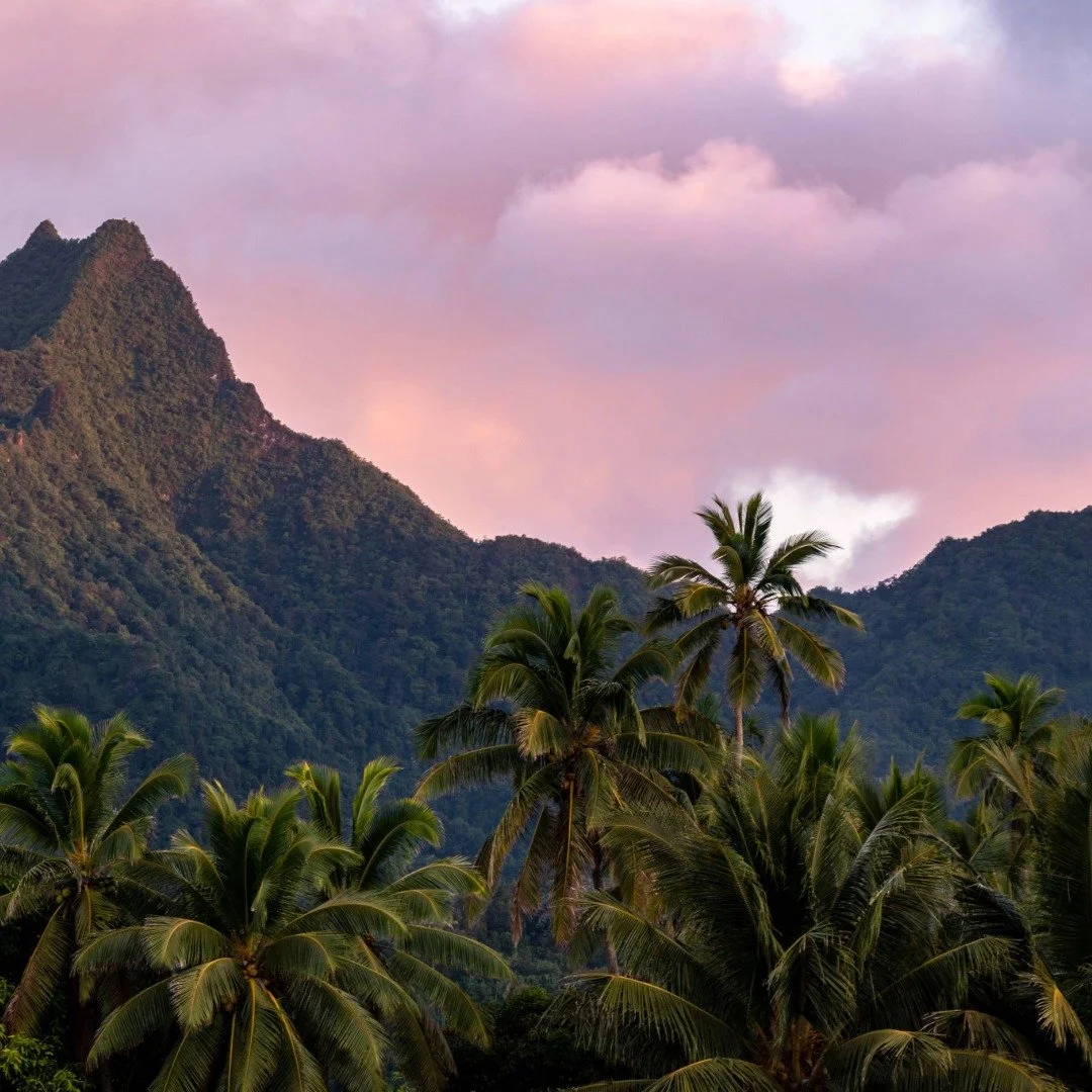 Relax &amp; unwind in Rarotonga! Dreaming of warm days and turquoise waters? Your next tropical escape is right here from $3,159*pp double share.

Your holiday package includes:
&bull; Return Air New Zealand Economy airfares to Rarotonga from Auck